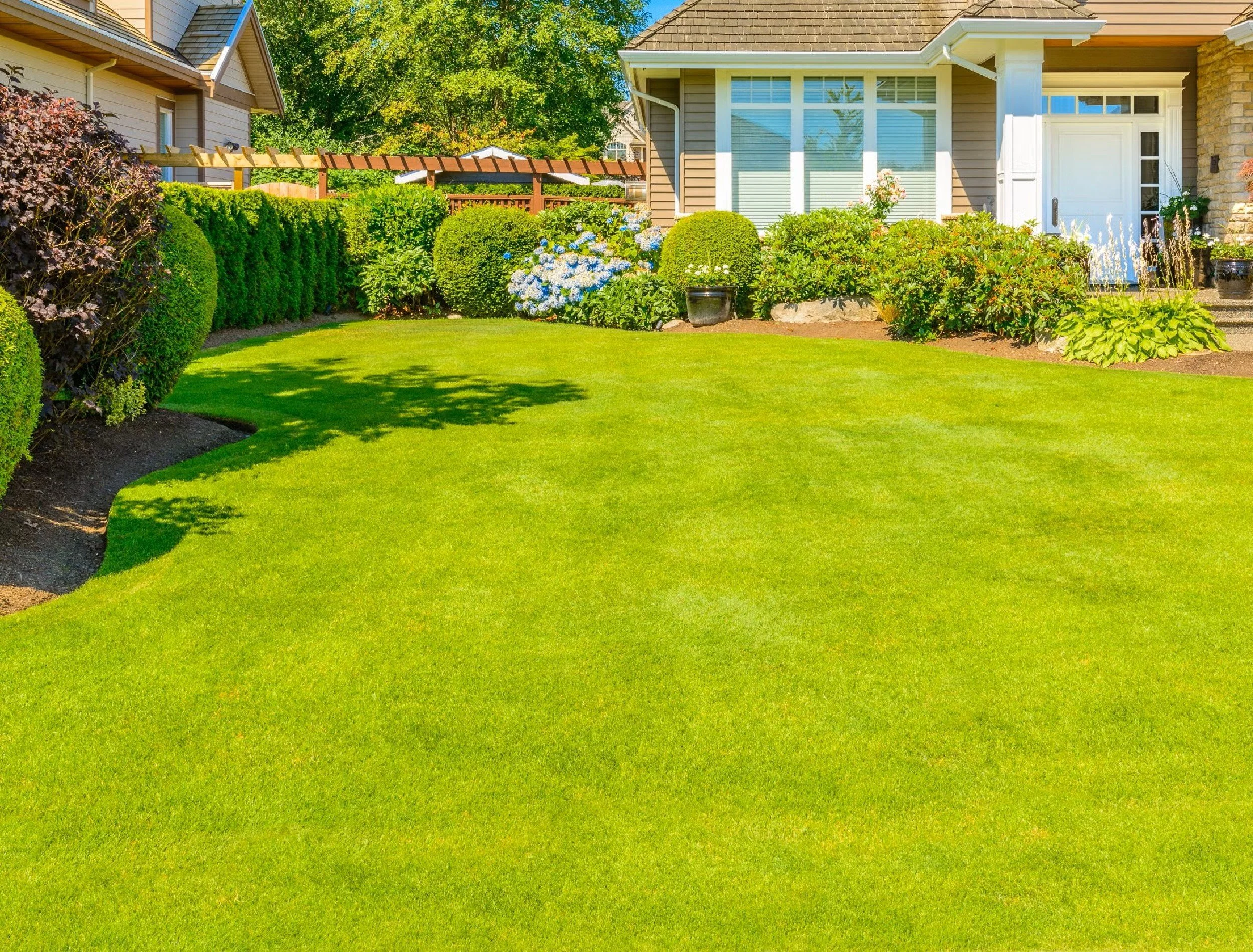 A well-maintained front yard with a lush green lawn, various shrubs and flowering plants, and a house with large windows, a white door, and siding. A small garden bed with flowers is near the house, and there are trees and a wooden fence in the background.