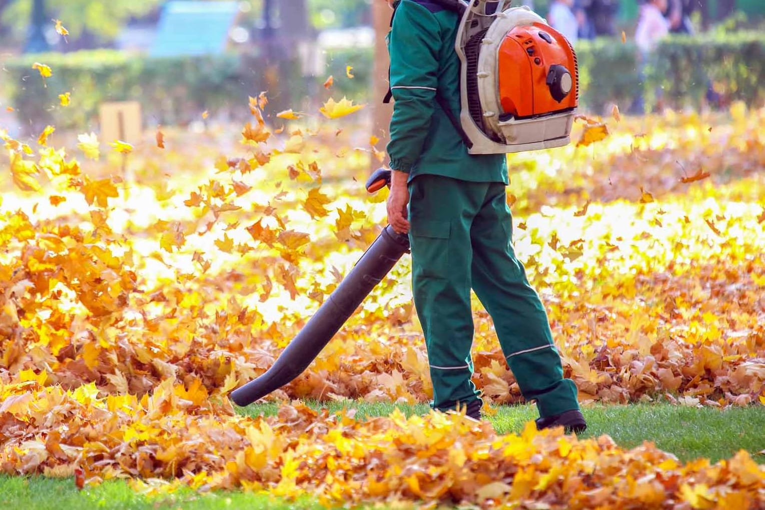 Person using leaf blower to clear fallen autumn leaves in a park or yard.