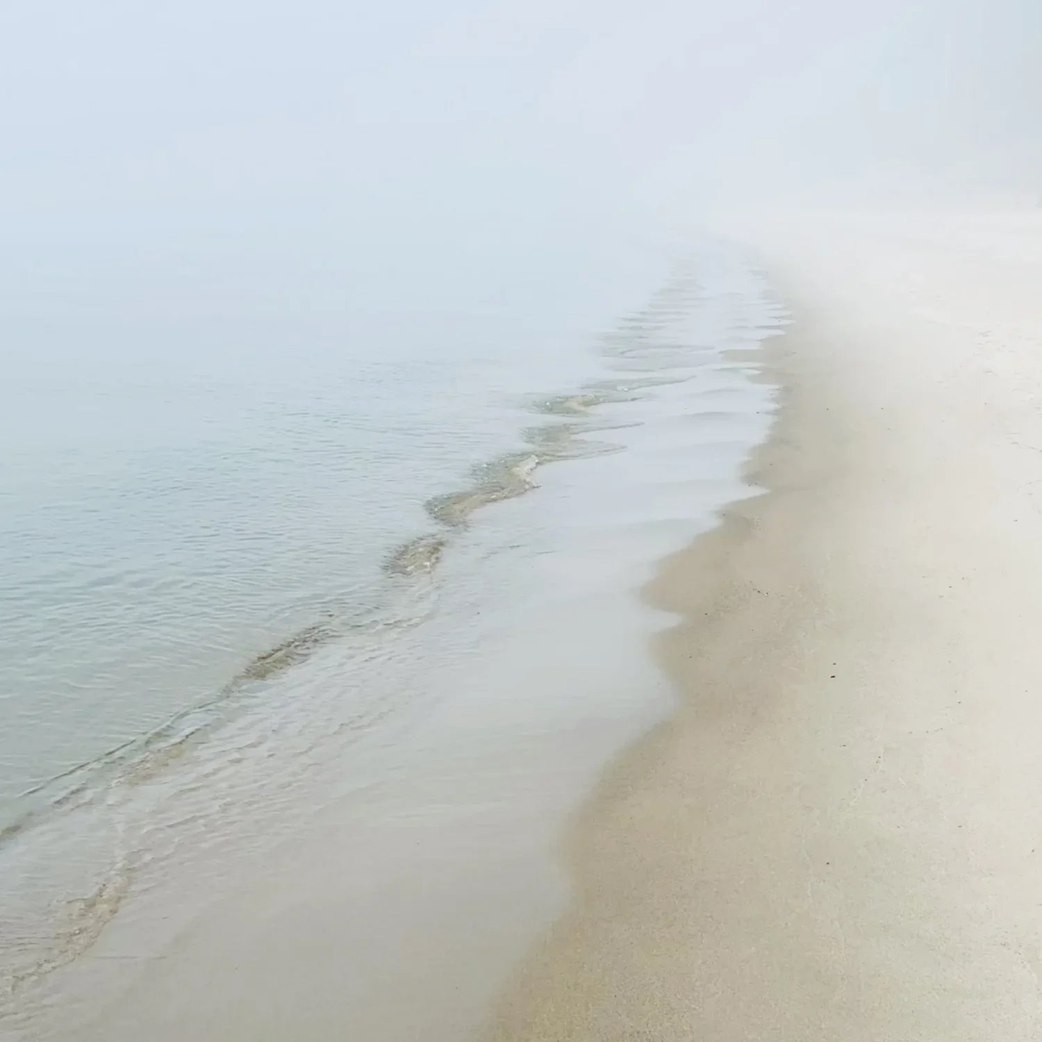 Pale Morning