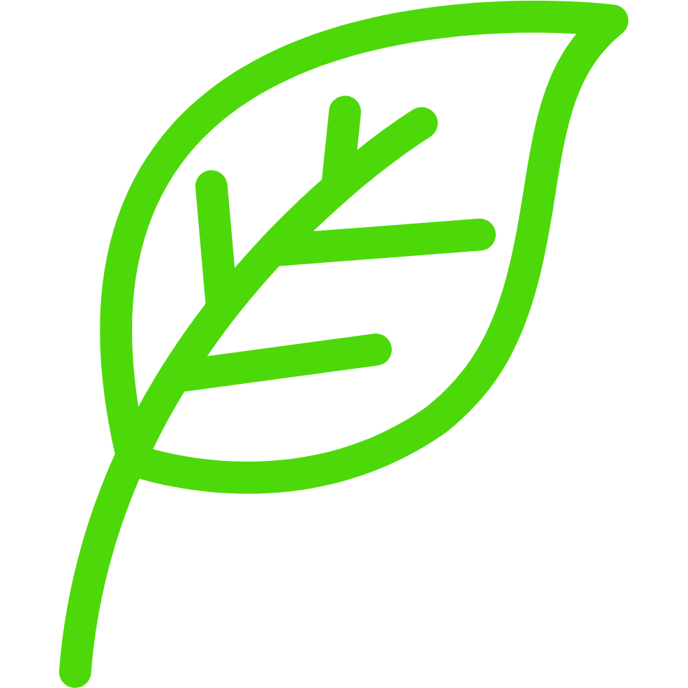 Green outline of a leaf with a simple vein structure on a black background.
