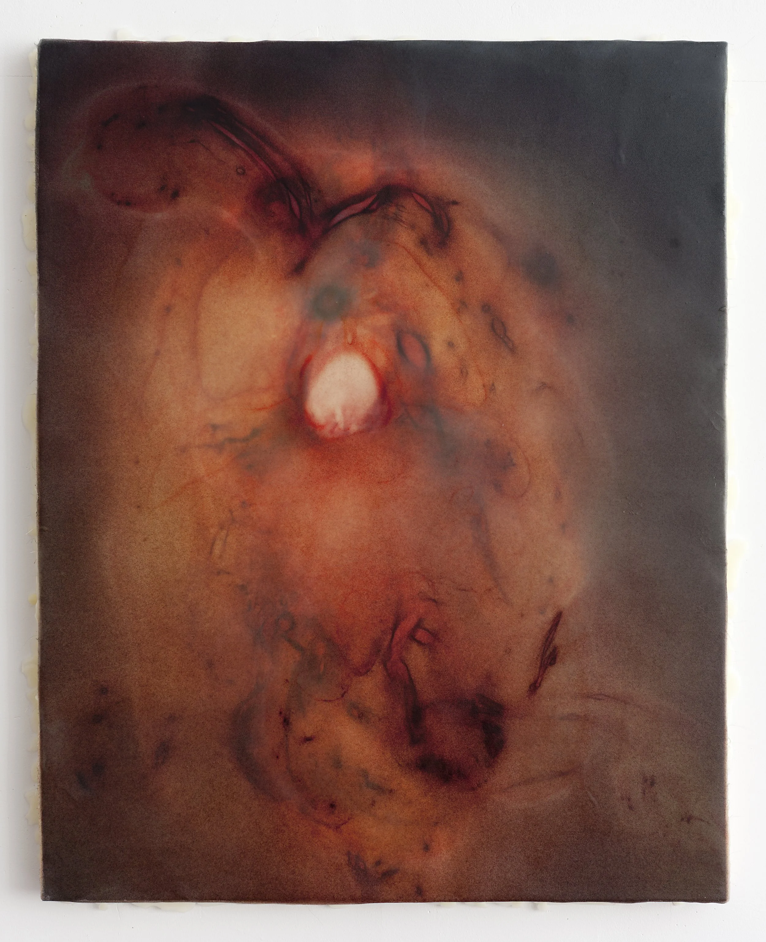 Daniel, 30 x 24 inches