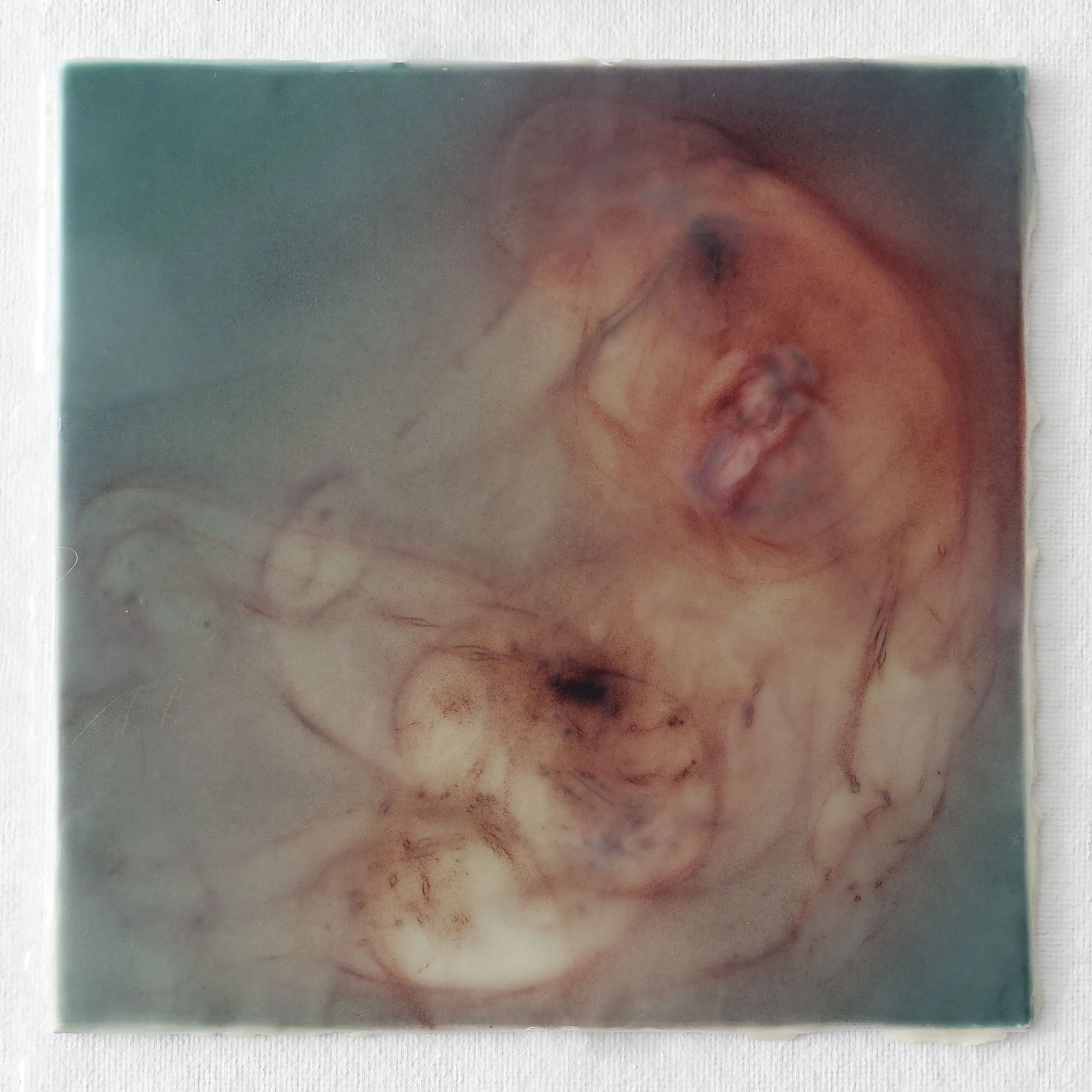 Untitled, 8 x 8 inches
