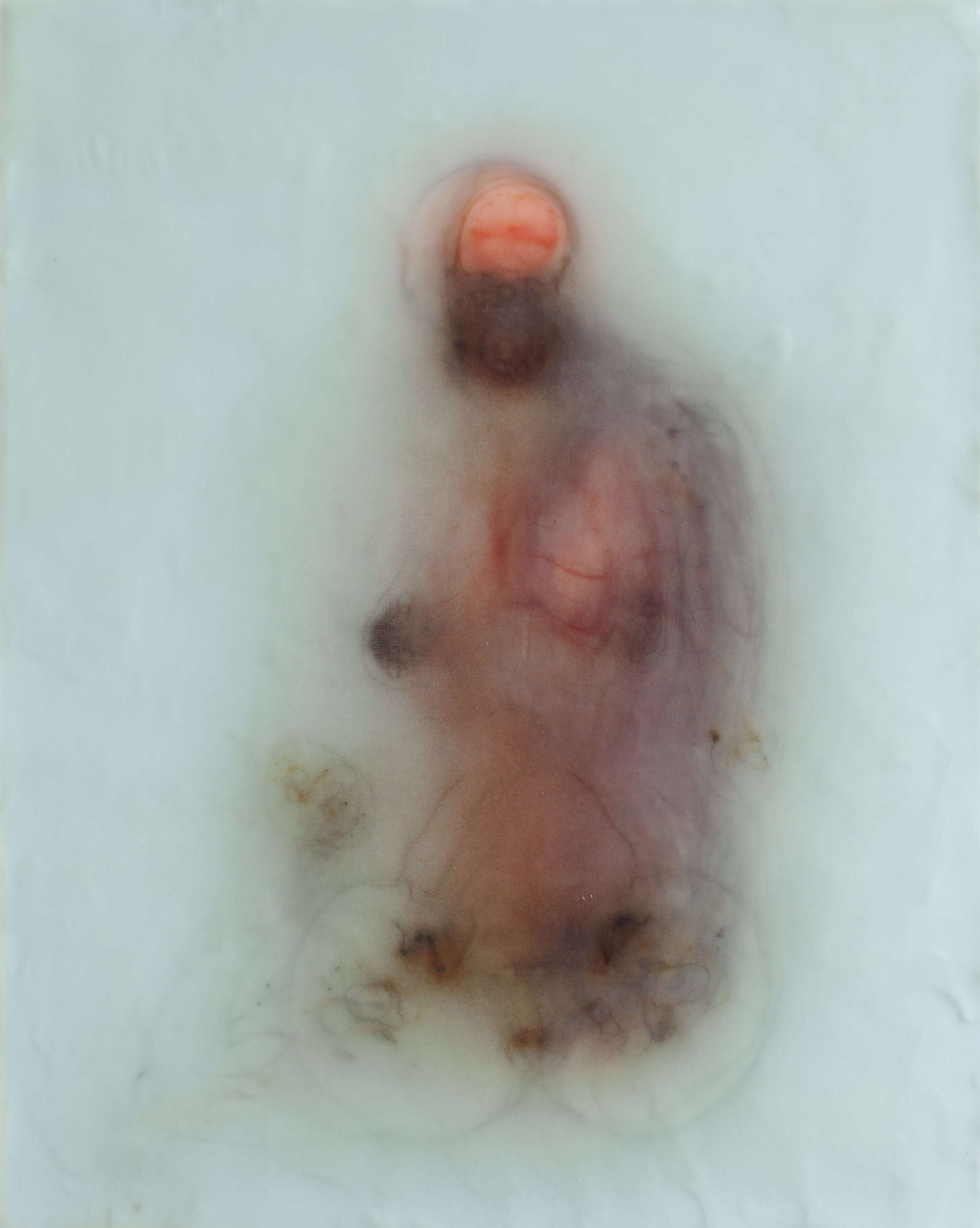 Silk and Encaustic II, 2015-2017