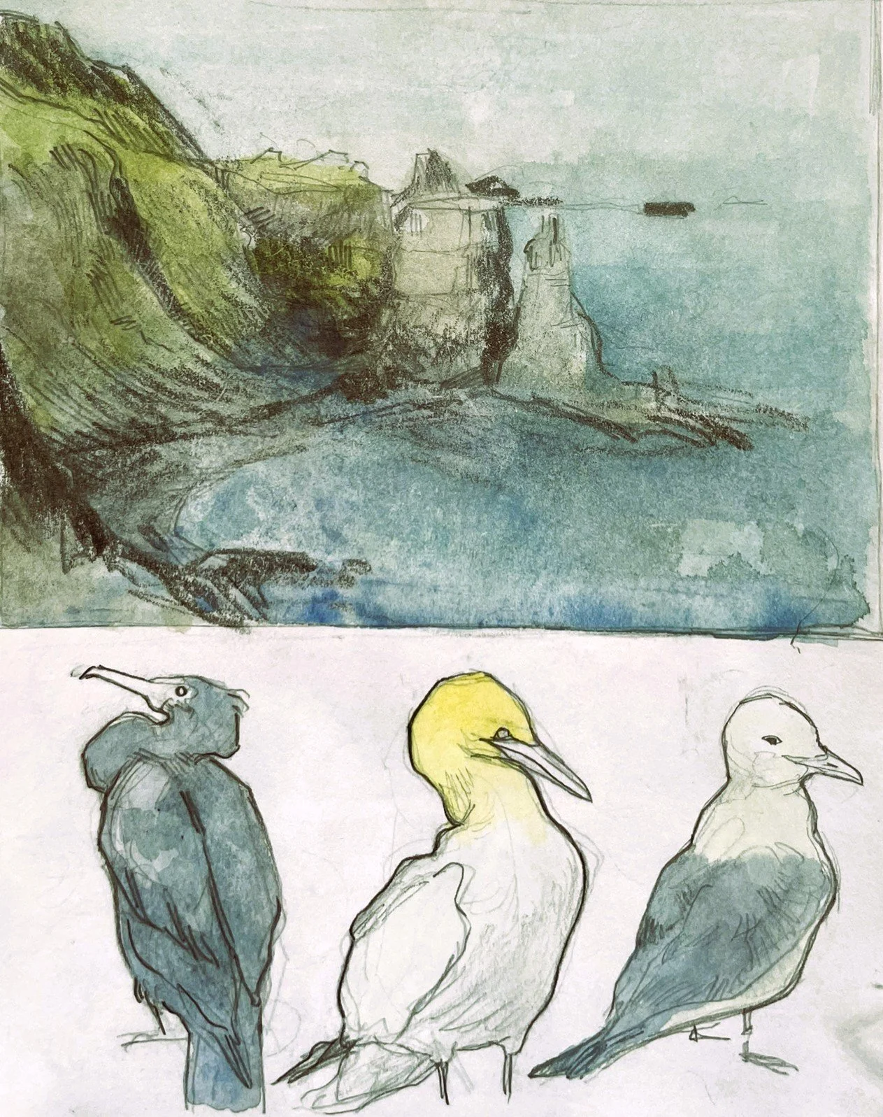 8. Rathlin.JPEG