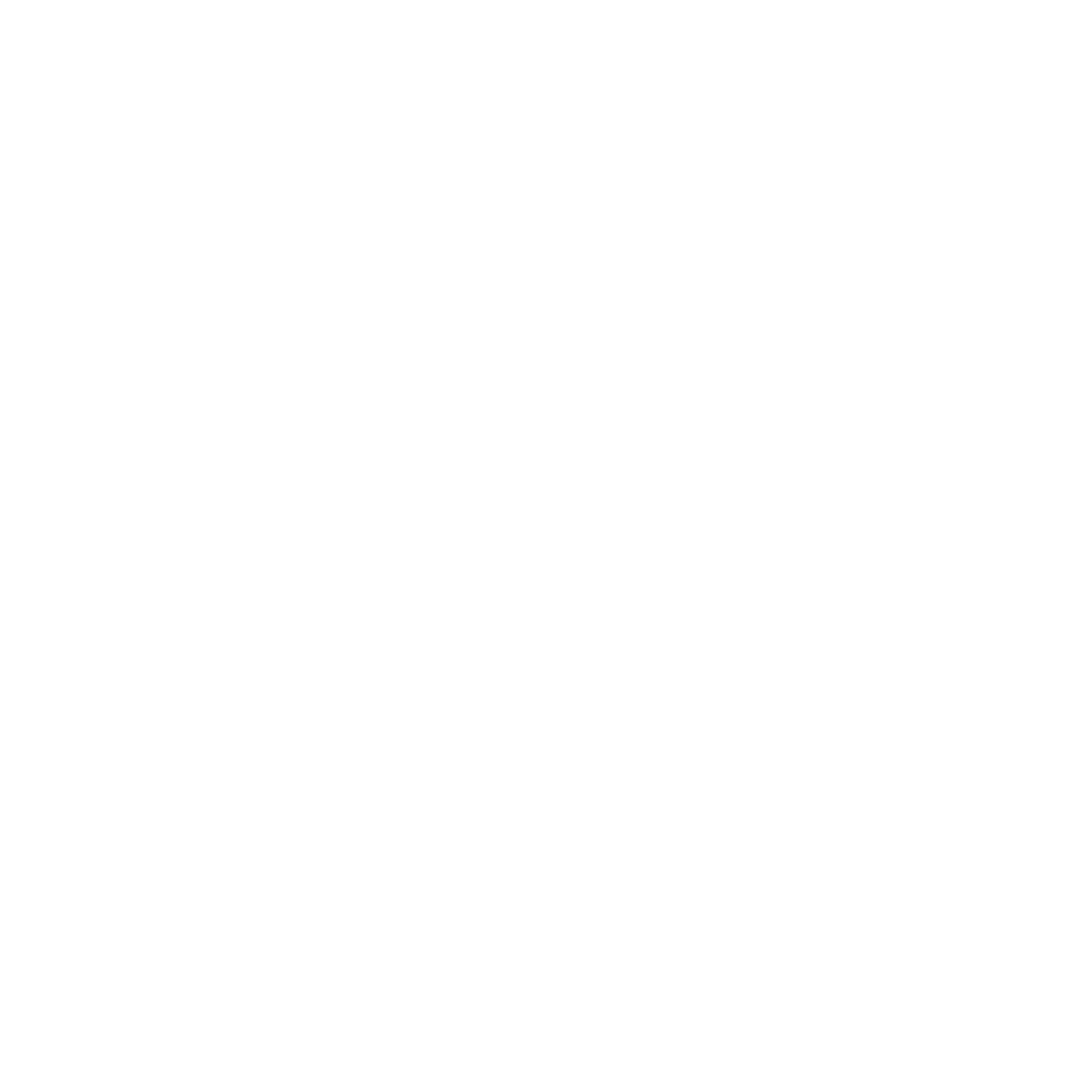 Spray Specialists logo