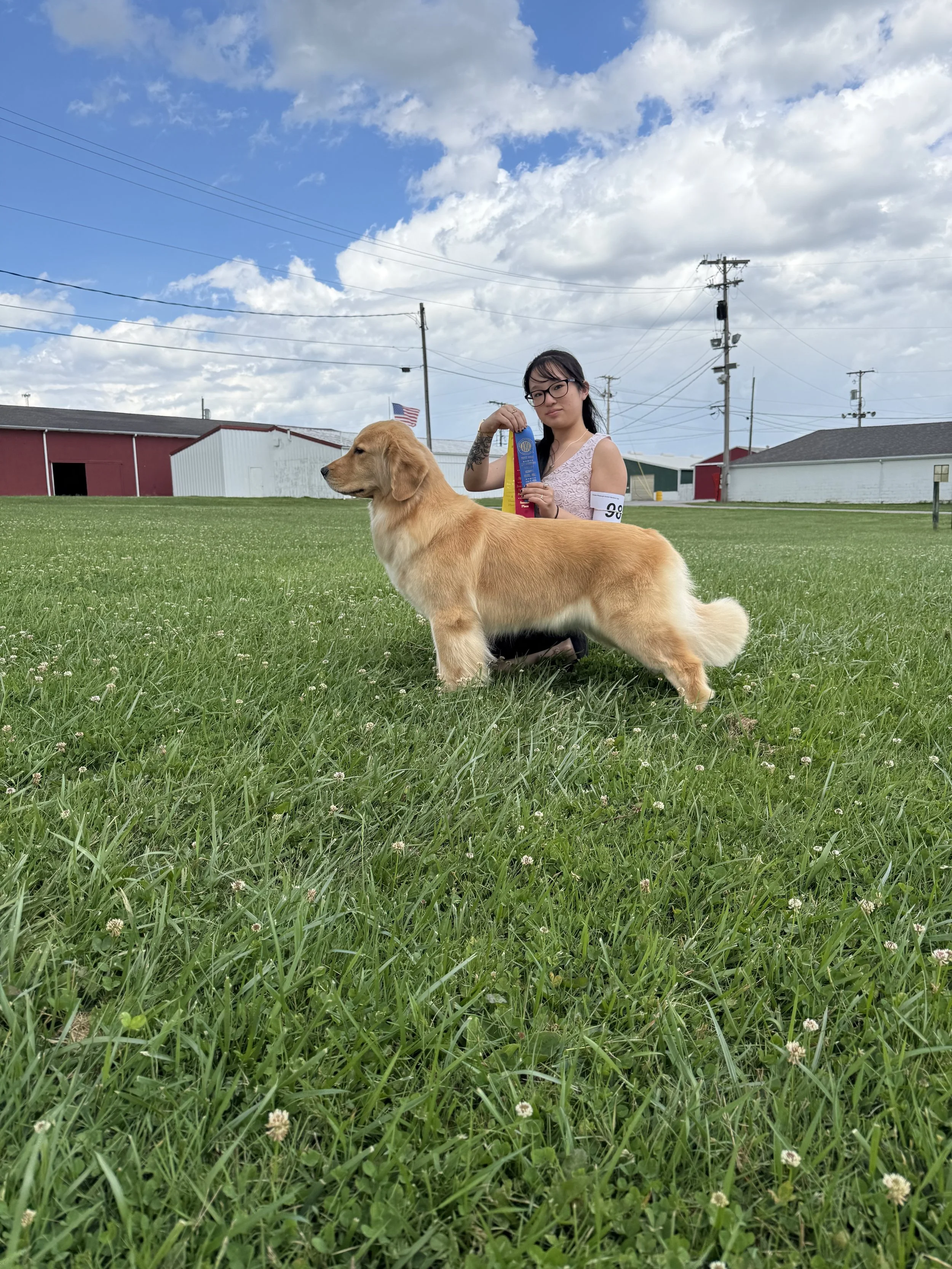 Golden retriever standing beside a woman holding a dog show award in a grassy field.