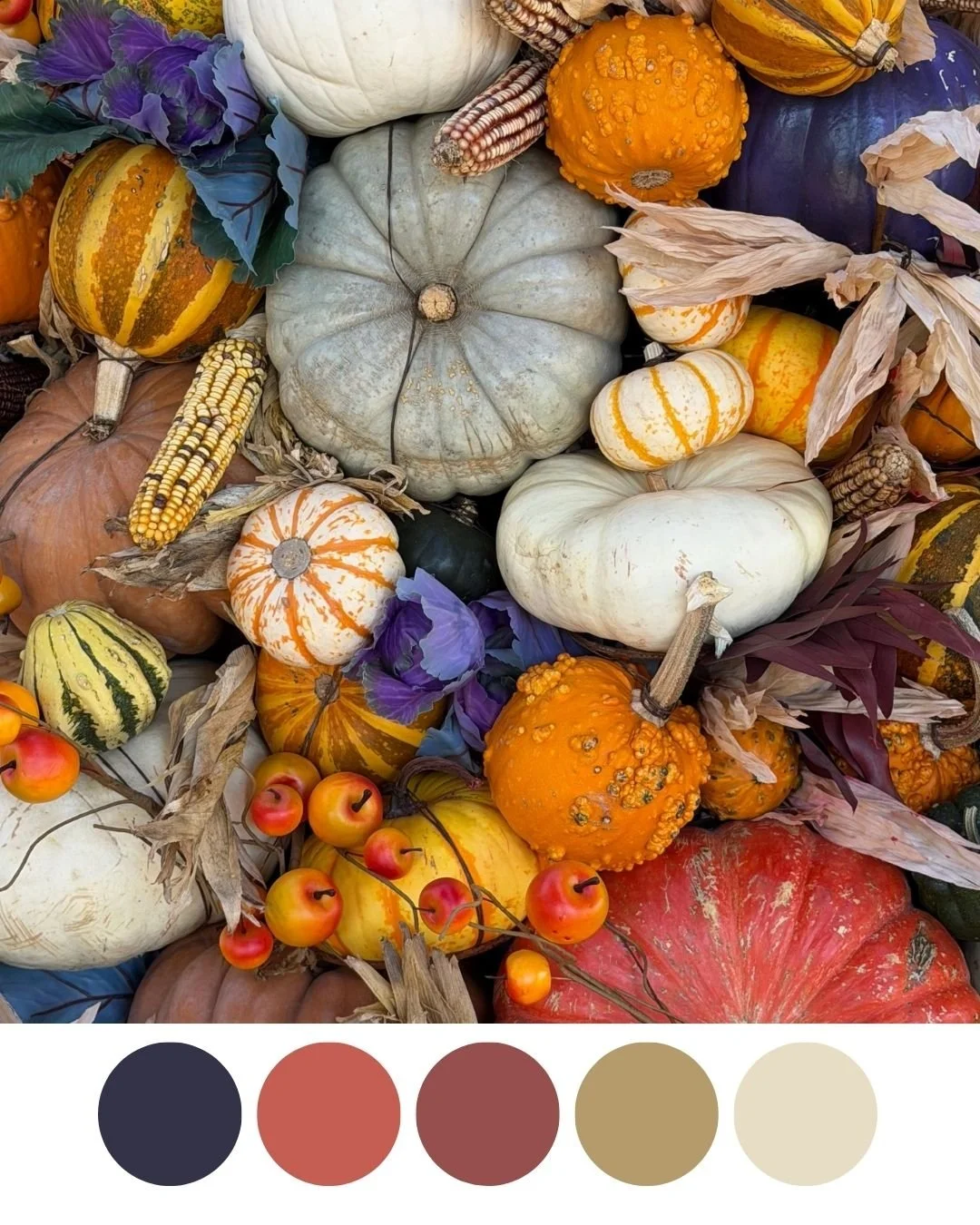 I was at the Botanical Garden here in Phoenix and its all decked out for the spooky season with lots of beautiful autumn pumpkin displays.  I'm saving these colors for sure!🎃 
@dbgphx
