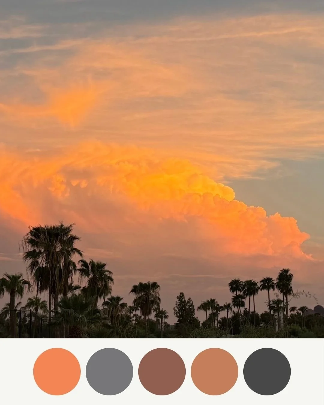 We've been getting more rain than usual here in the desert - which is wonderful.  There have been some incredible sunsets and this orange one (no filter!) is inspiration for some future design work.  Seems perfect for October!