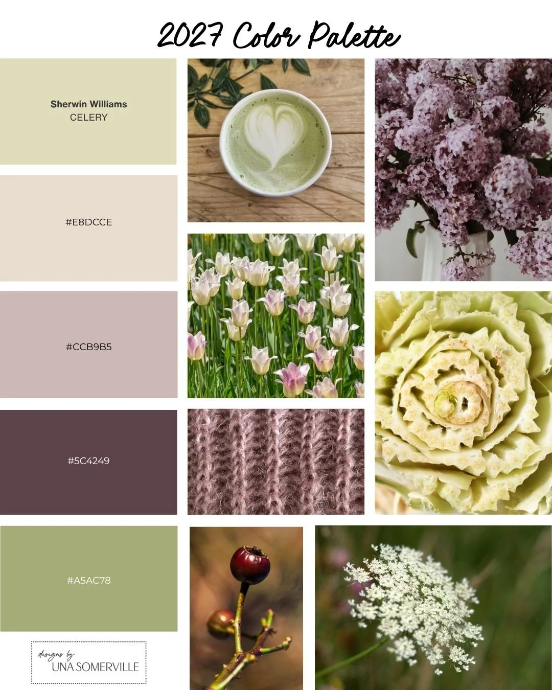 Is it odd that I do my color palette planning in Canva?  I use all the Adobe tools and Procreate but somehow it's easier for me to plan and experiment in Canva.  I know its messed up!  But her you go - looking at how to use Sherwin Williams color of 
