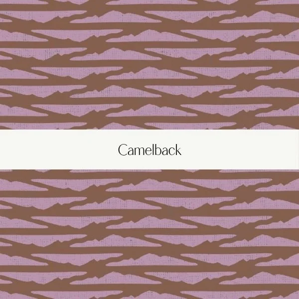 Book cover titled "Camelback" with a purple background and brown camo pattern.