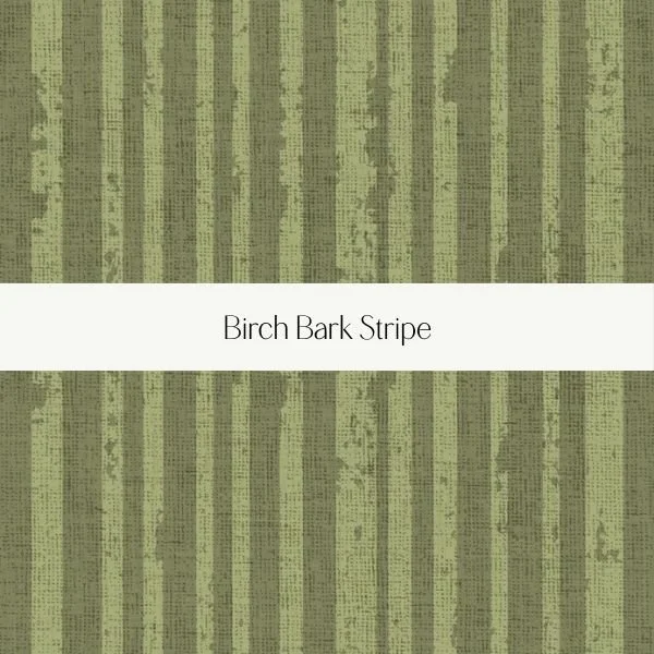 Sample of birch bark with green stripes and texture