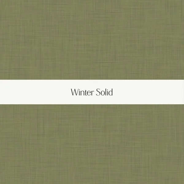 Cover of a book titled 'Winter Solid' with a plain green textured background.