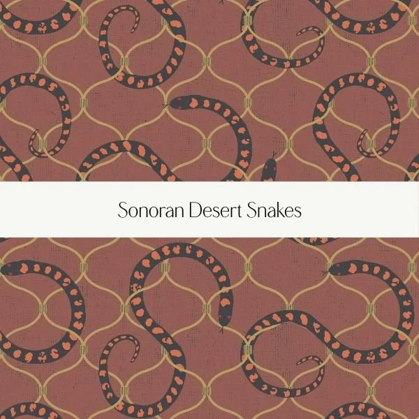 Book cover with pattern of snakes and a title that reads "Sonoran Desert Snakes".