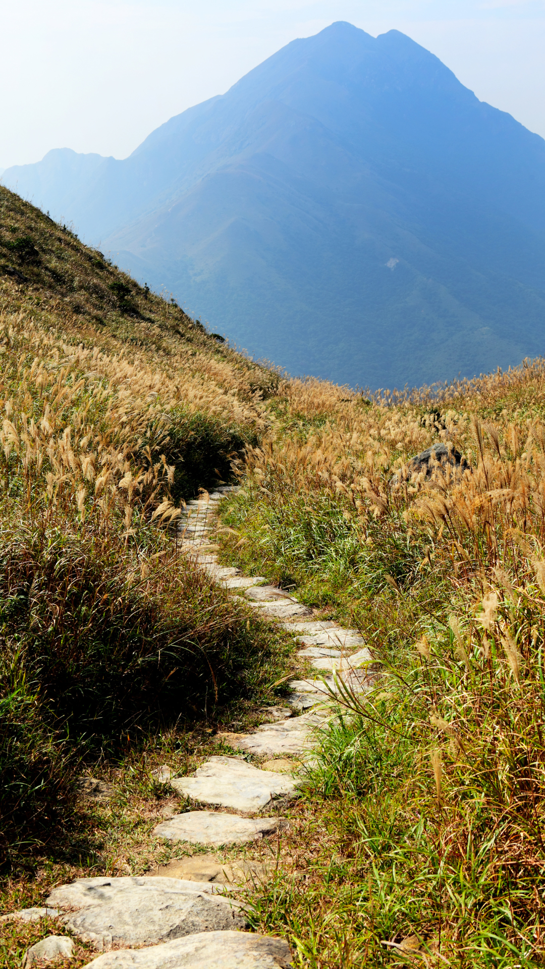 A rugged stone pathway winding through tall golden grass on a hillside, leading toward a large mountain in the background.