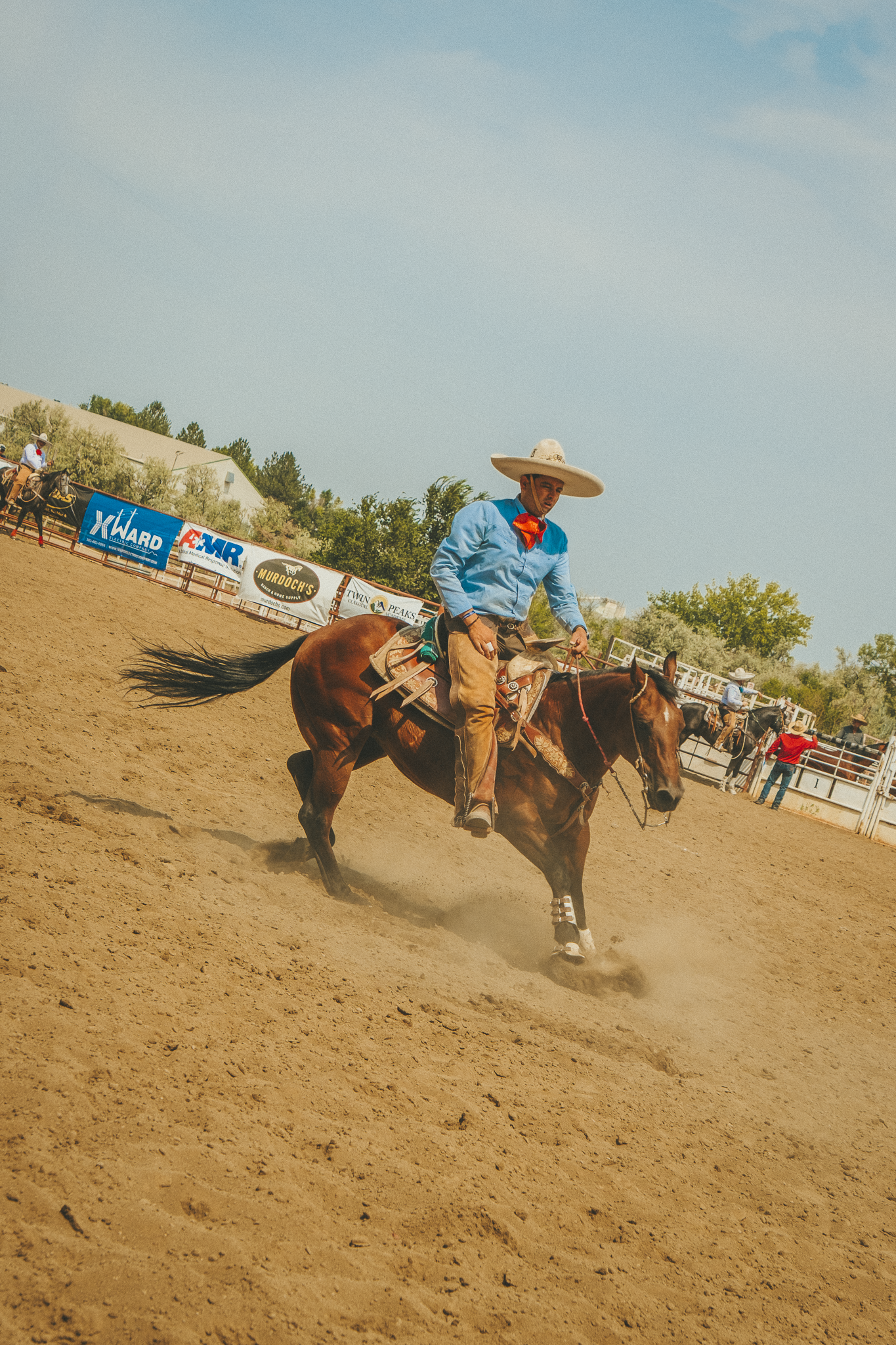 A cowboy riding a horse in a rodeo arena during daytime, with spectators and banners visible in the background.