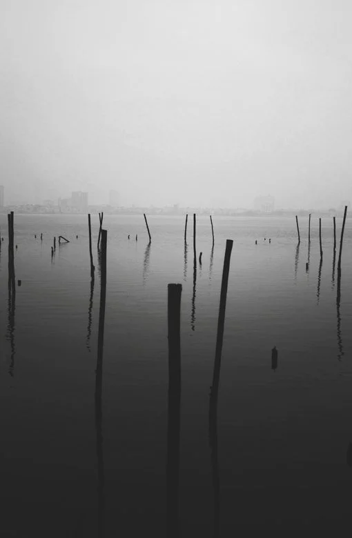 A black-and-white photo of a body of water with old wooden poles sticking out, some leaning or broken, and a hazy city skyline in the background.