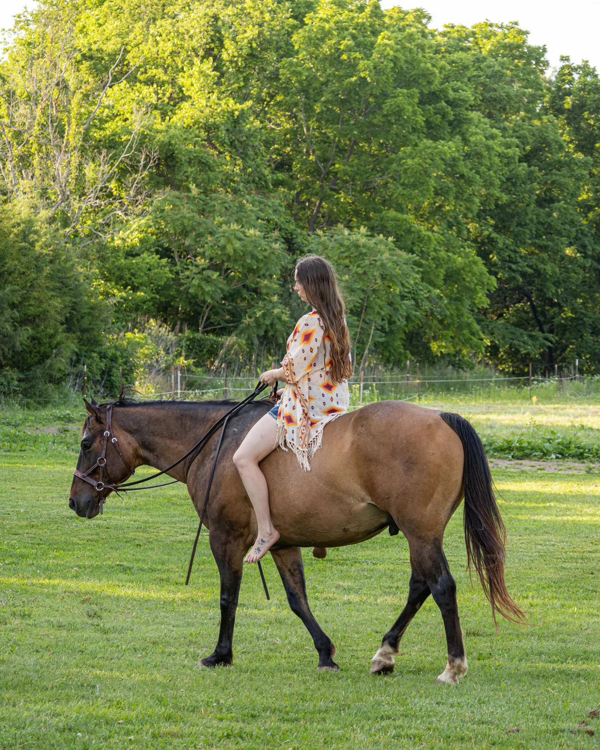 A woman with long hair wearing a patterned dress riding in a side pull on a dun roan horse in a grassy arena with trees in the background.