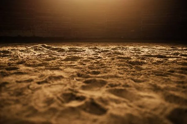Close-up view of sandy ground with textured surface and footprints, with warm sunlight overhead.