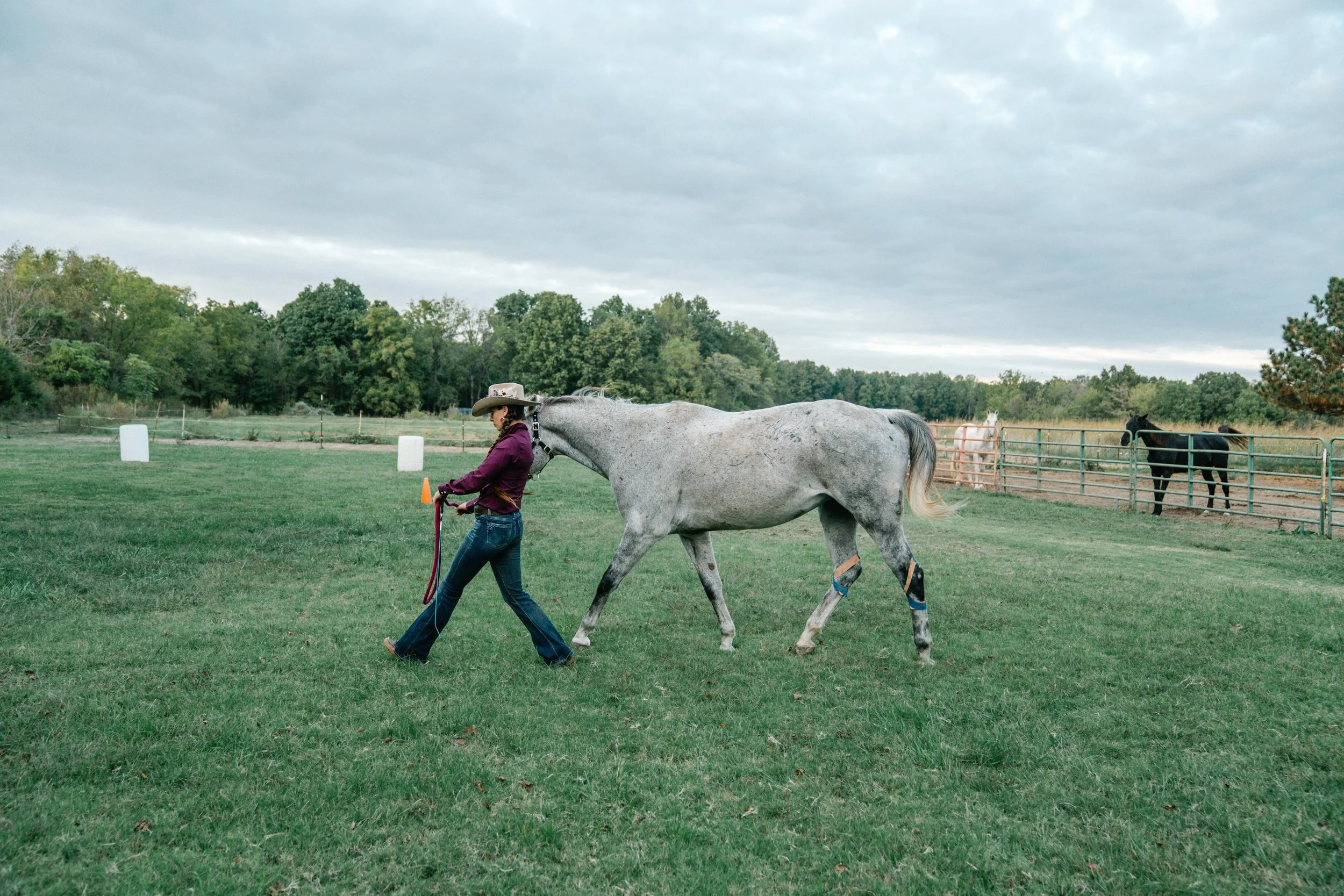 A woman in a cowboy hat and purple shirt leading a gray horse in a grassy arena with other horses and trees in the background under a cloudy sky.