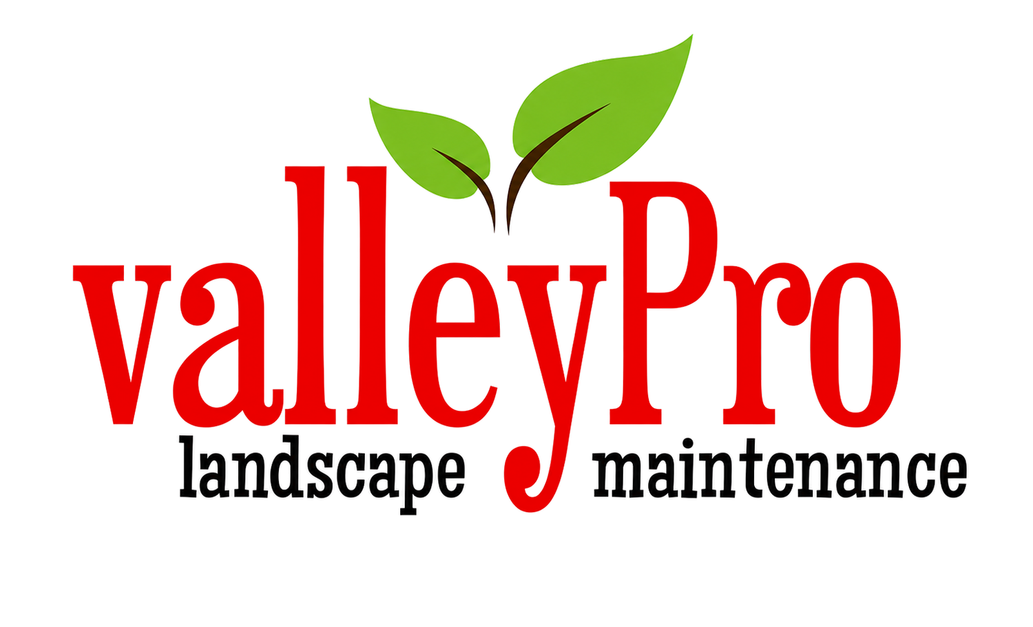 valleyprollc