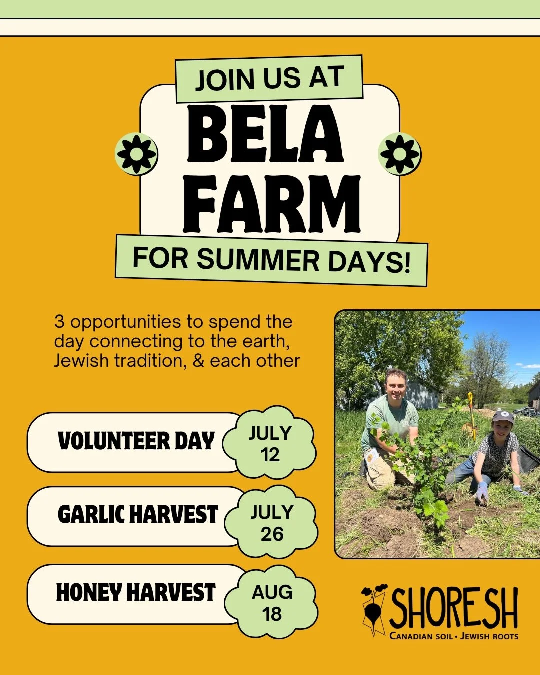 Bela Farm summer days are back, baby! Come hang out at @bela_farm with us for our volunteer day on July 12, our garlic harvest with @hasadeh.to on Jul 26, and/or our honey harvest on Aug 18!

An opportunity to connect with the land, Jewish tradition,
