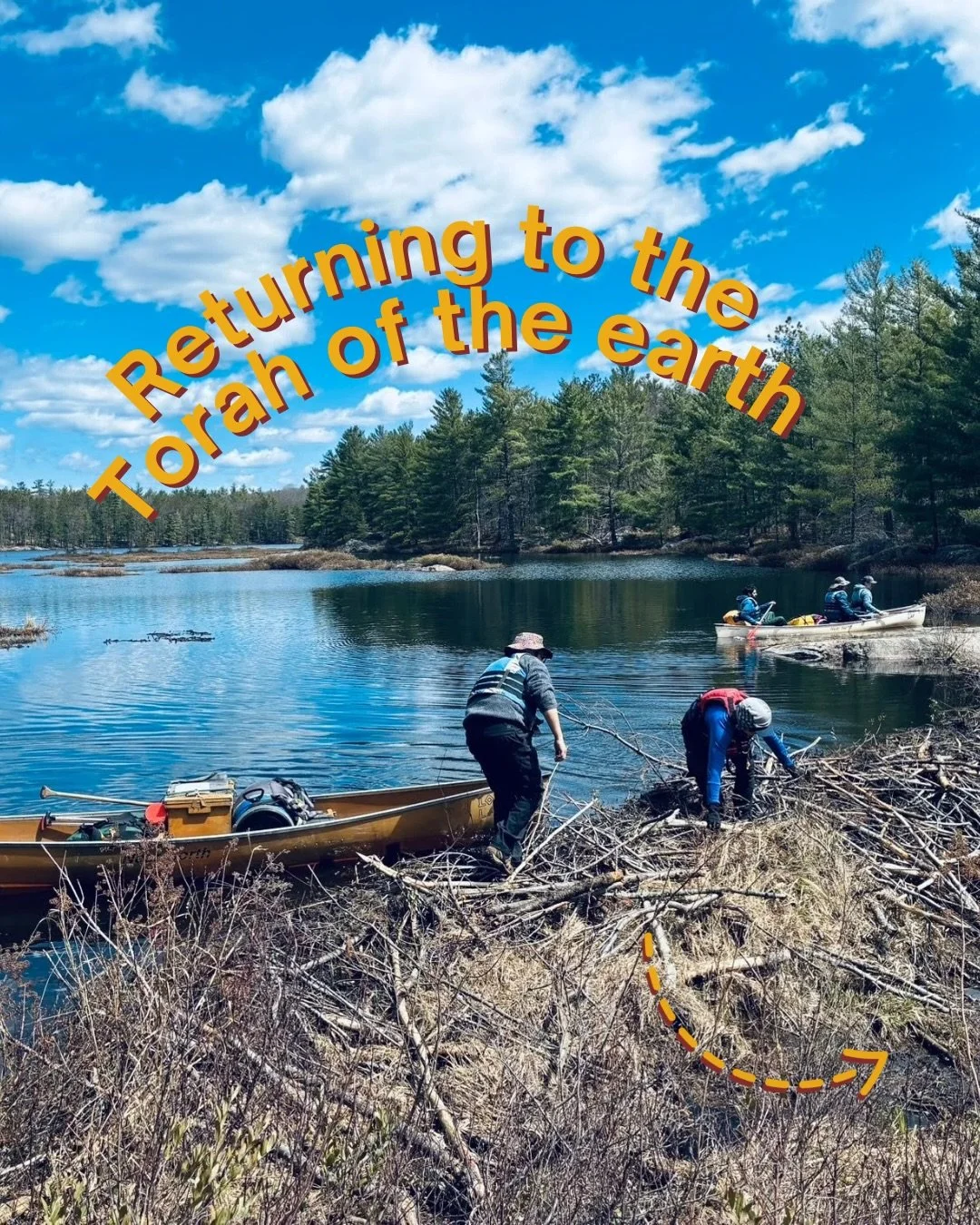 Chag Shavuot Sameach from all of us at Shoresh 💕 In this season of return, may we be blessed to return to the Torah of the earth and Jewish wisdom, and each time, find both familiarity and newness in it.

#shavuot #jewish #jewishnature