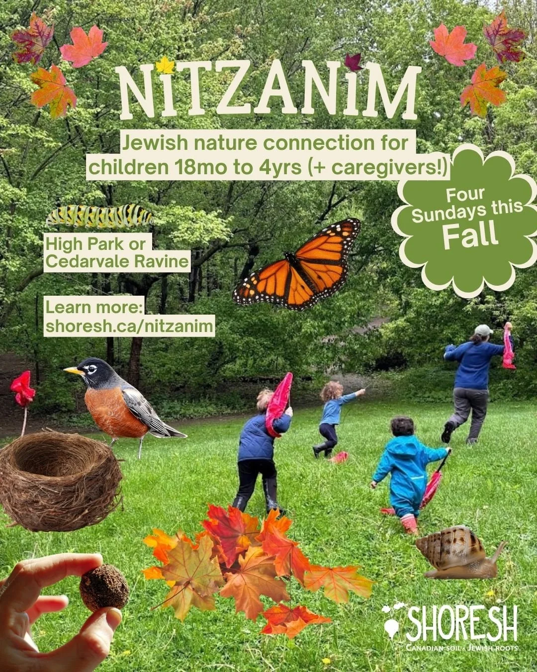 Toddlers? Preschoolers? Parents who wish you spent more time outside with your little ones? It's all happening this Fall at Cedarvale and High Park! 

Visit the link in our bio to learn more and to sign up.

Shana tova!