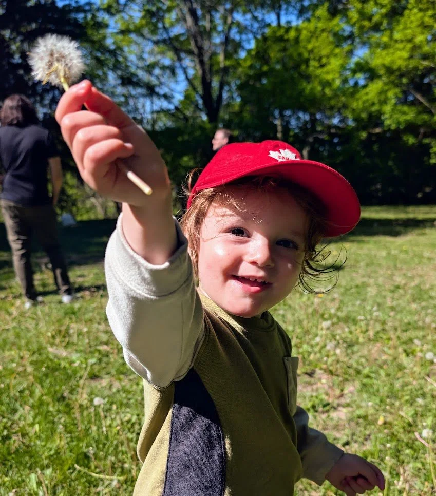 Smiling toddler holds up a dandelion