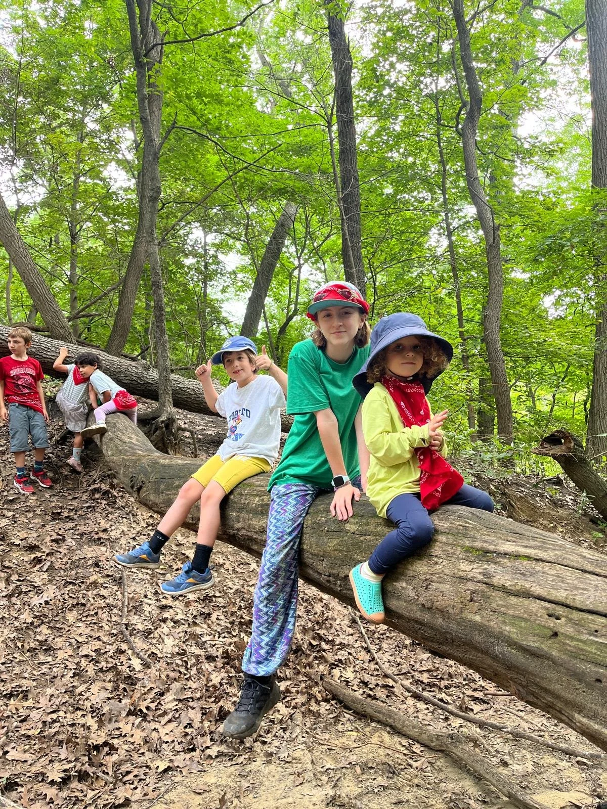 Campers and Support Educator sit on a log in the forest.