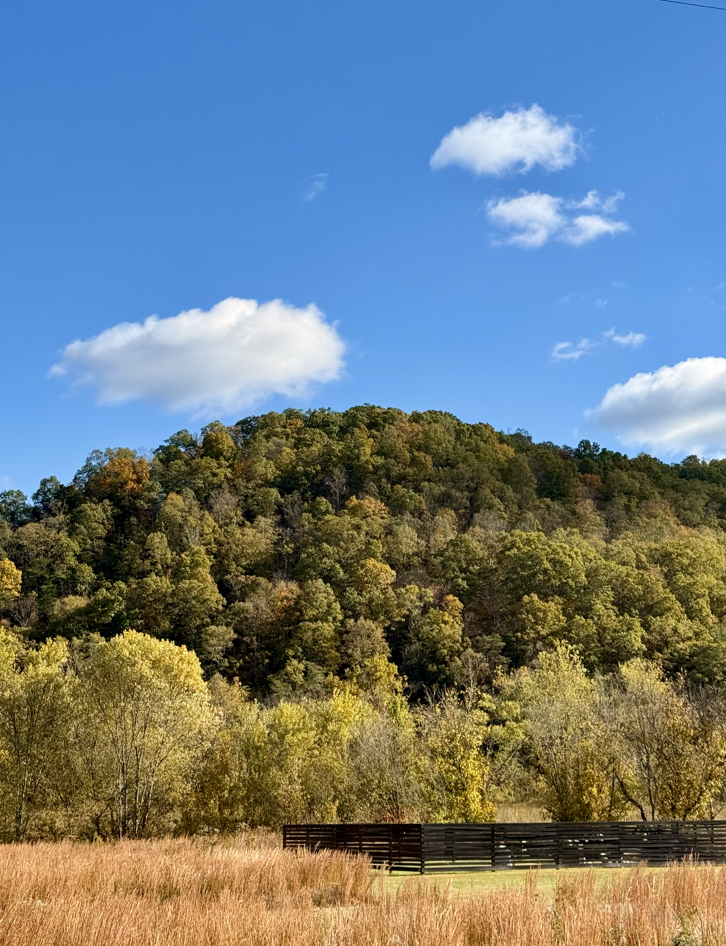 A landscape with a grassy field in the foreground, a black wooden fence, a forested hill with trees in fall colors, and a bright blue sky with white clouds.