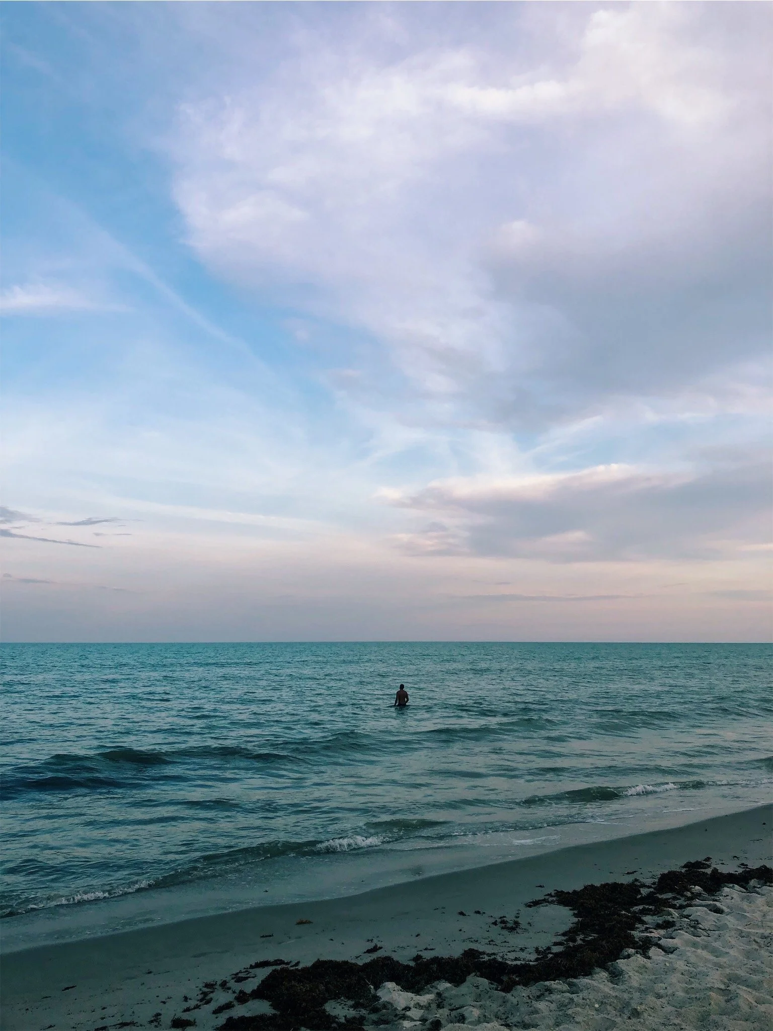 A person swimming in the ocean near the shoreline with rocks and seaweed, under a partly cloudy sky.