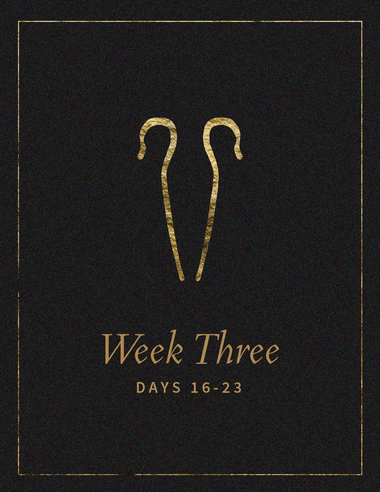 Advent+22_Week+3.jpg.webp