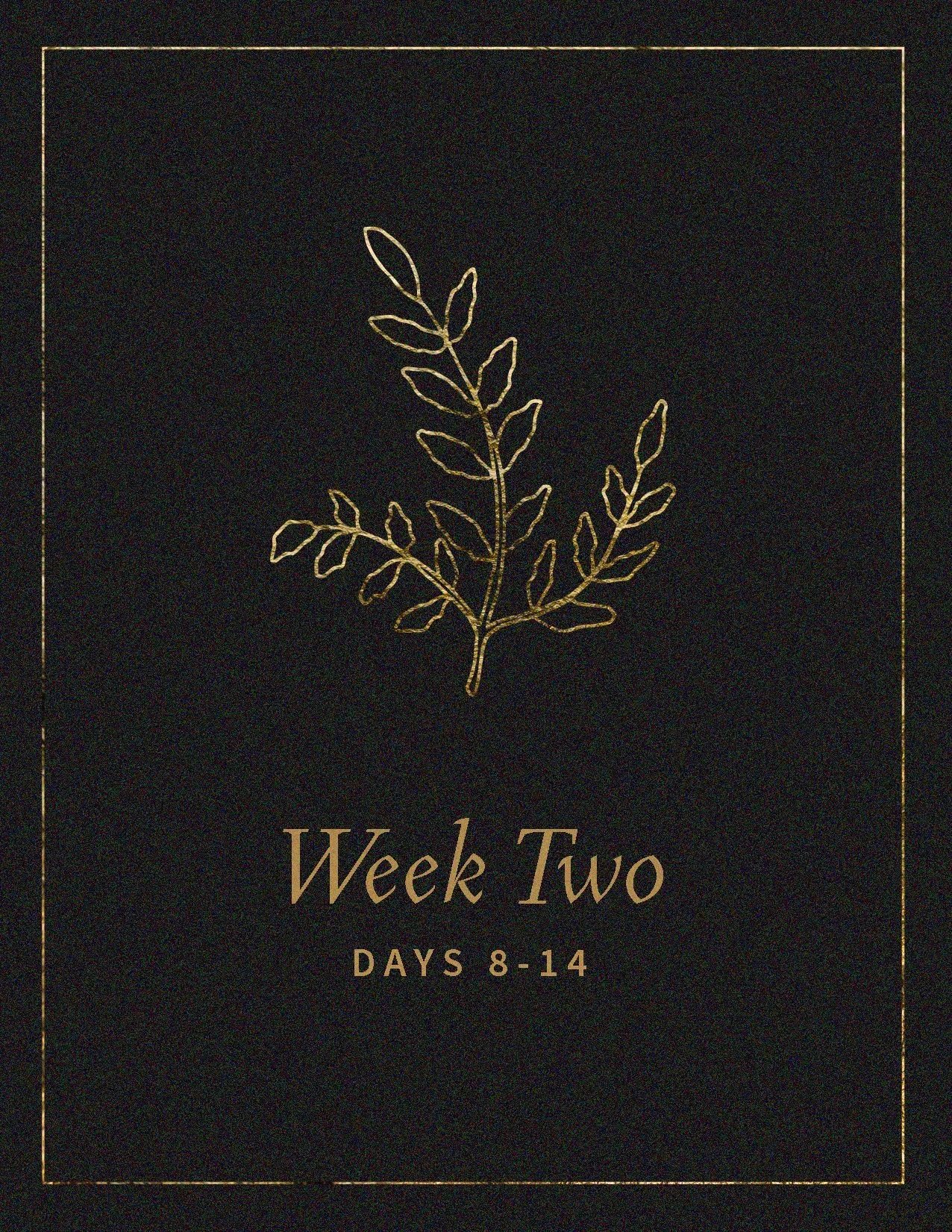 Advent+22_Week+2.jpg.webp