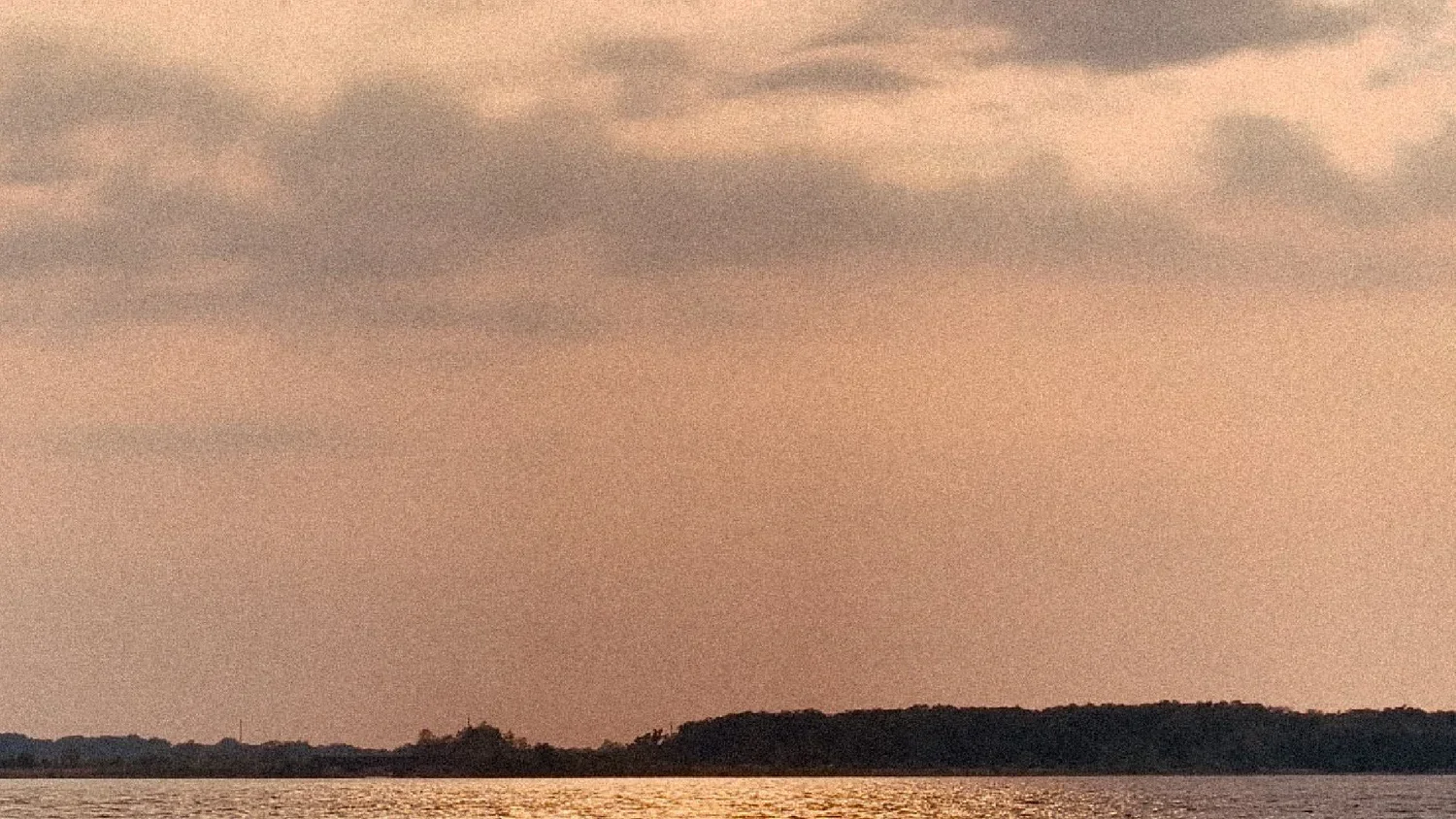 cove-04.jpg.webp