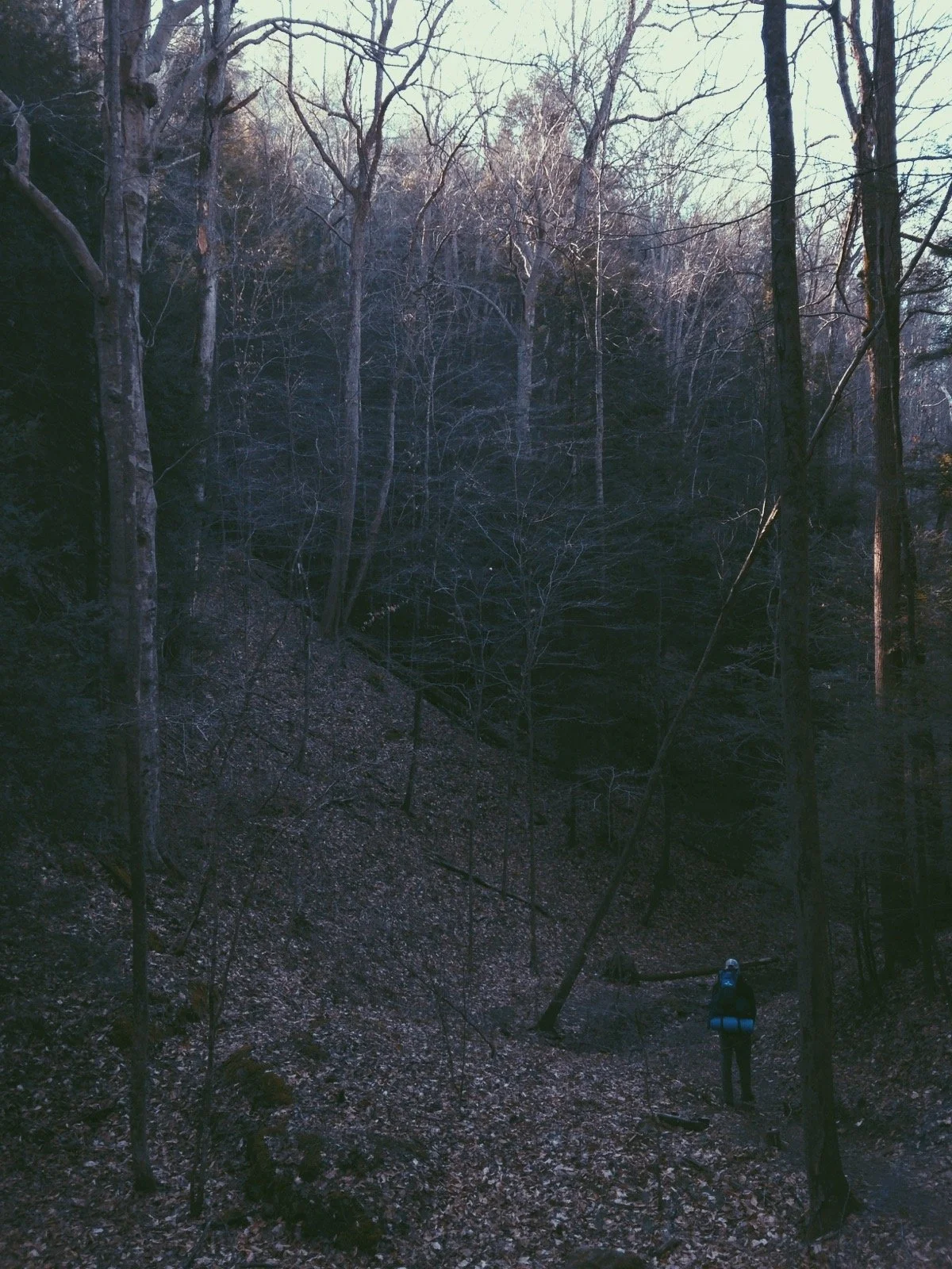 A person wearing a backpack walking in a dark, leafless forest with a steep hill and trees in the background.
