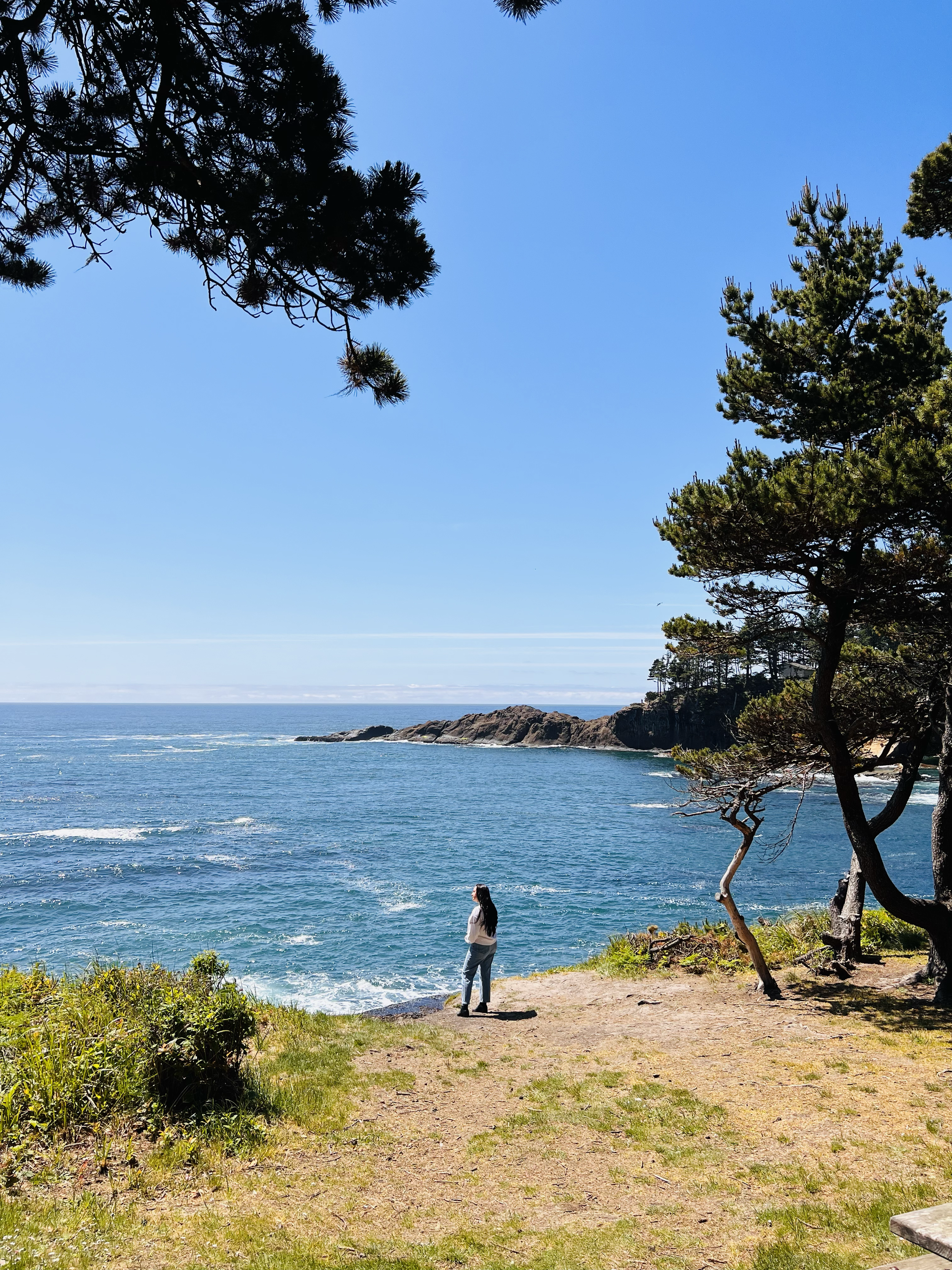 A woman standing on a grassy coastal trail, looking out over the ocean with rocky cliffs and trees in the background, under a clear blue sky.