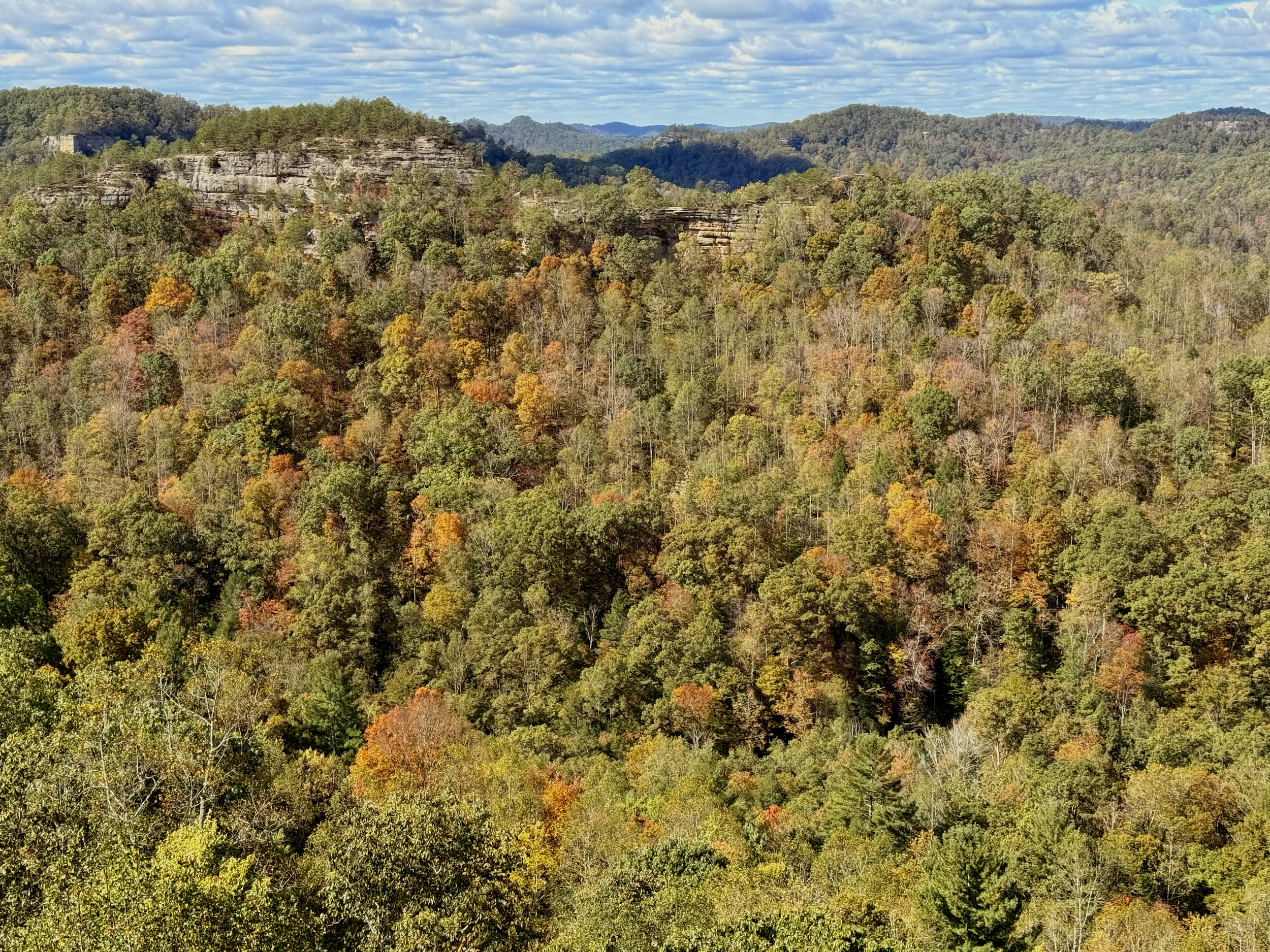 Aerial view of a forested valley with rolling hills and cliffs, under a partly cloudy sky.