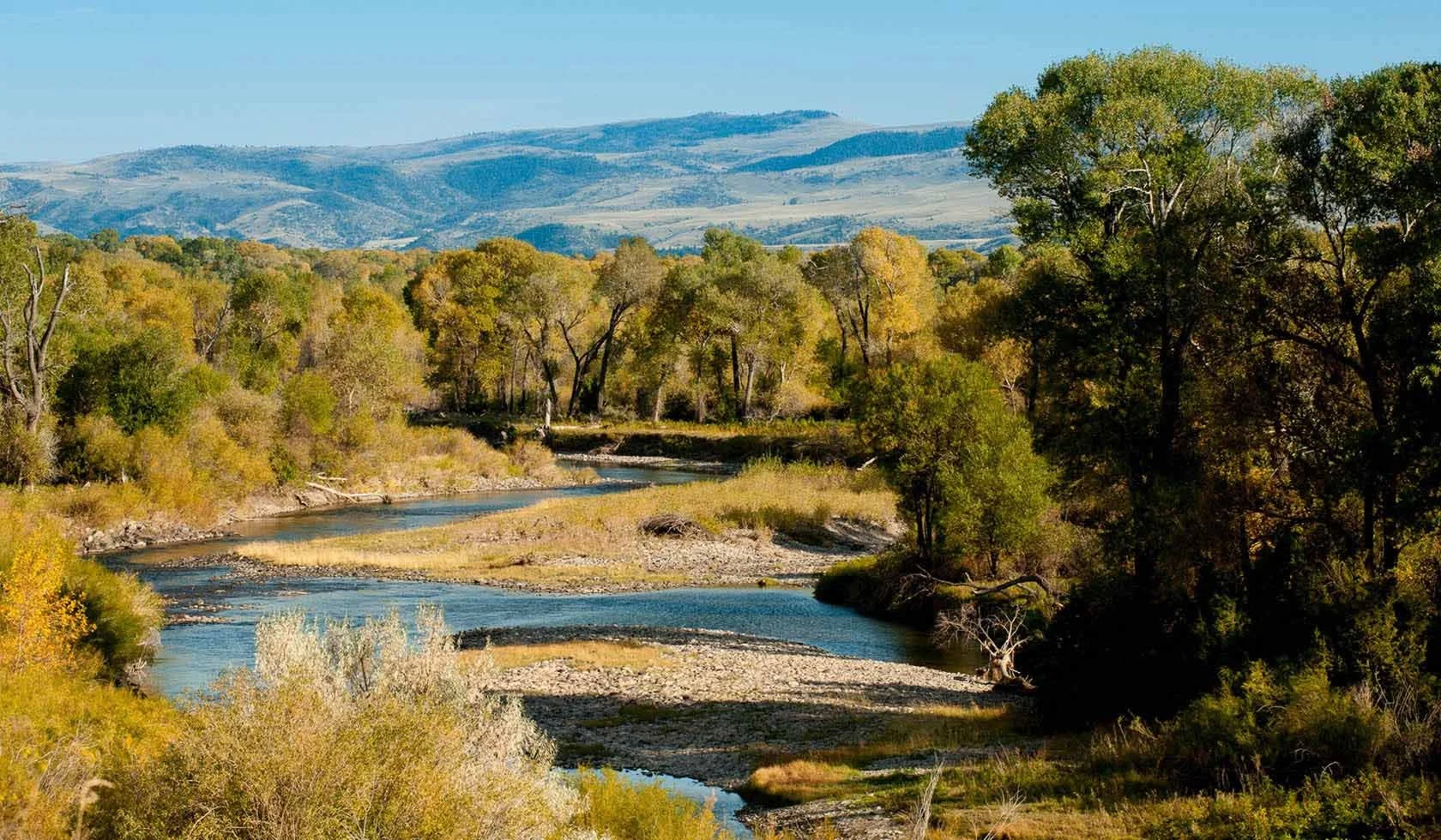 Yellowstone River