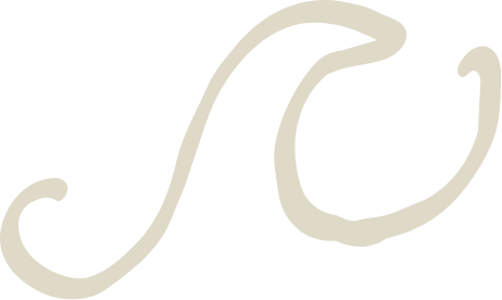 A stylized, cursive letter 'S' in gray color on a black background.