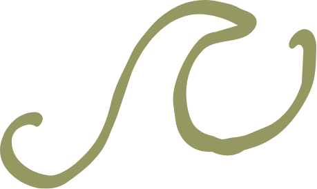 A stylized, cursive letter 'S' in green color.