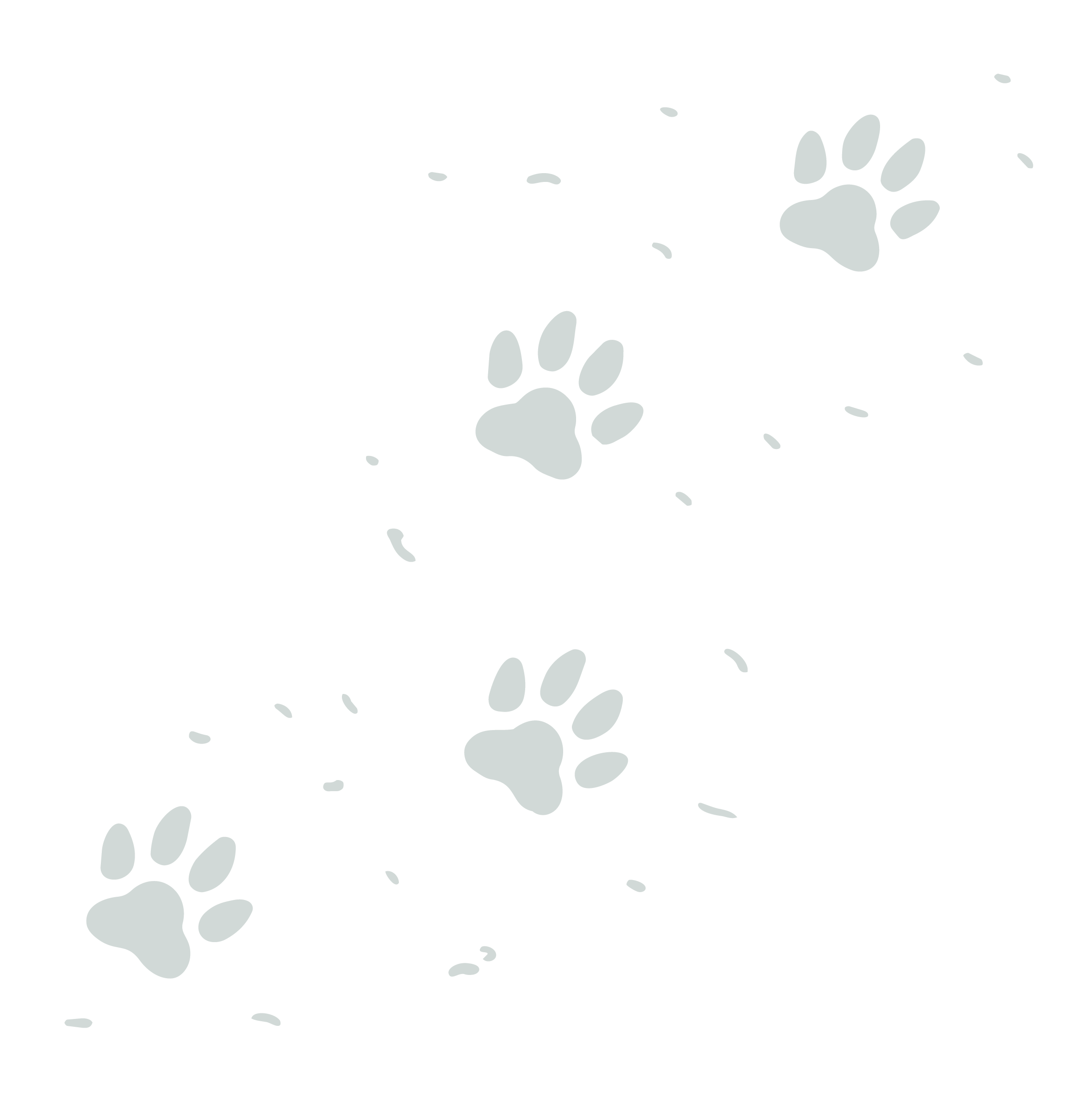 A black background with several white paw prints scattered across it, creating a pattern.