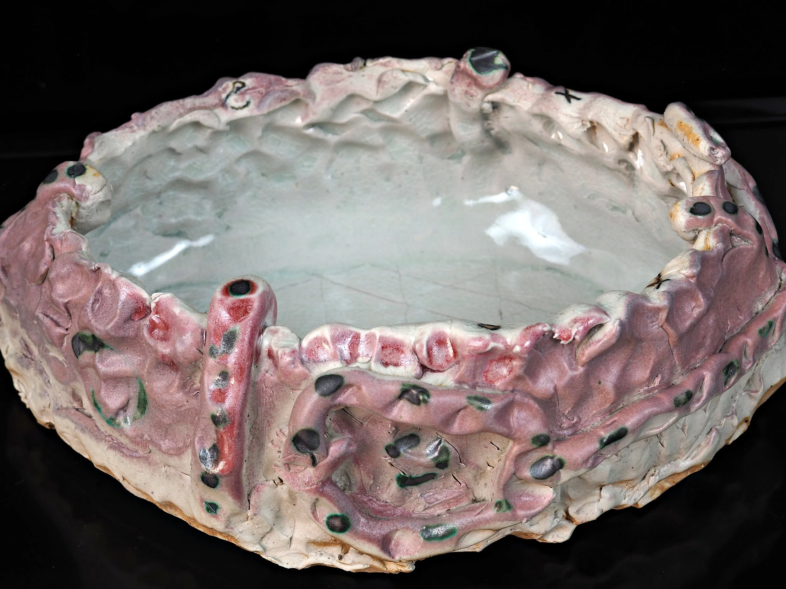 dogbowl_01_image3.jpg