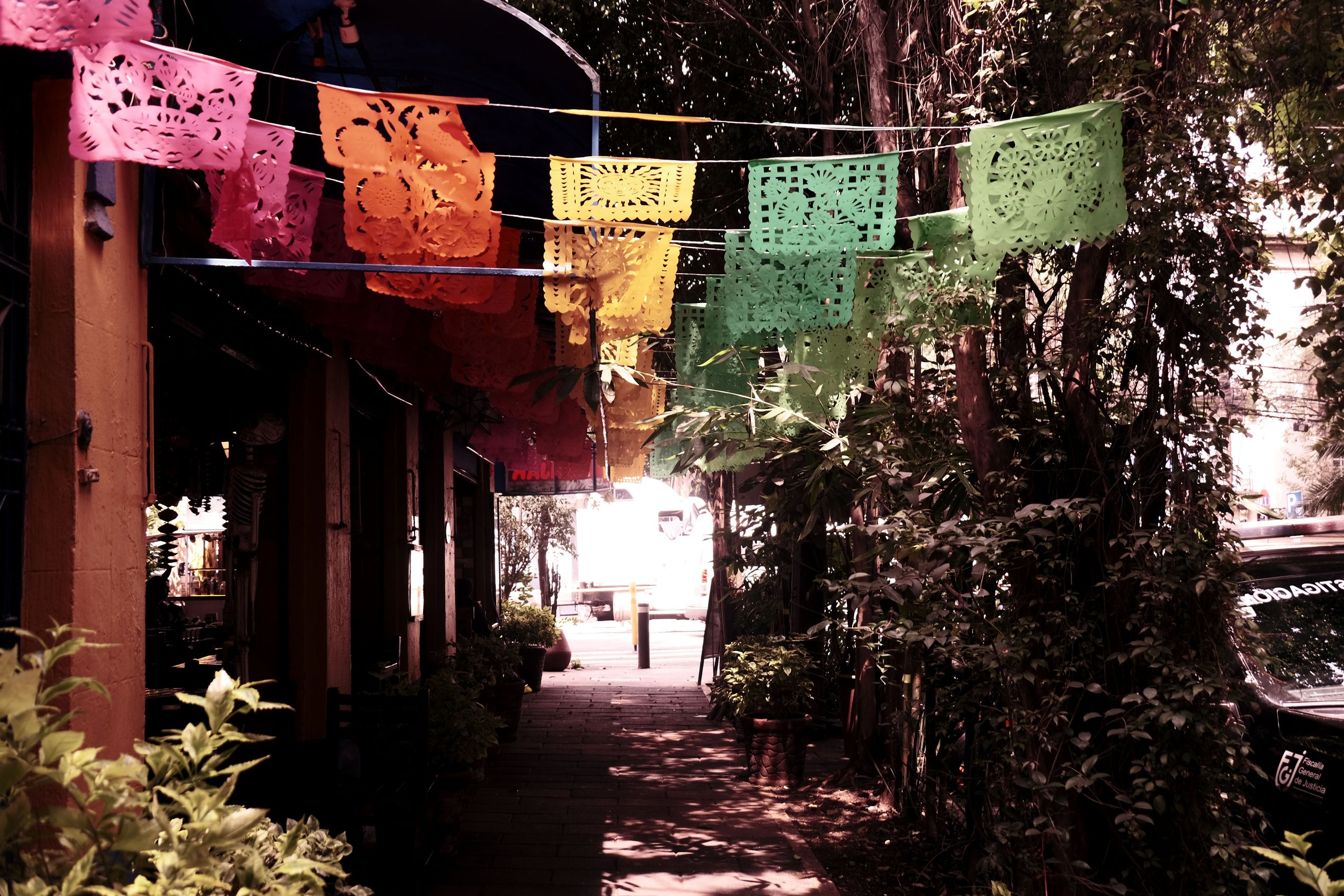 DSCF5560.JPG