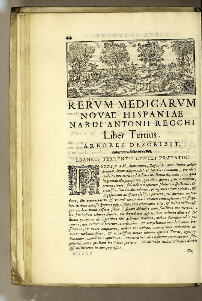Nova plantarum.png