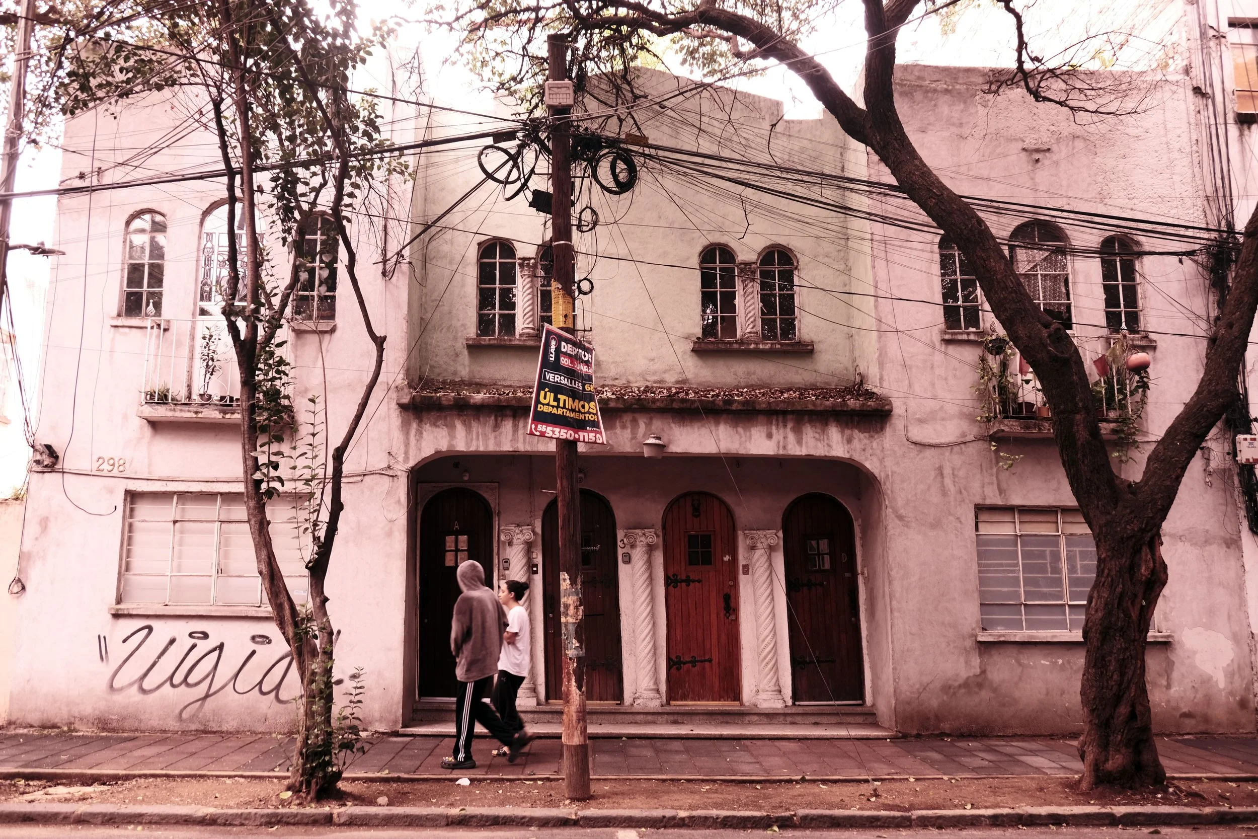 DSCF5519.JPG