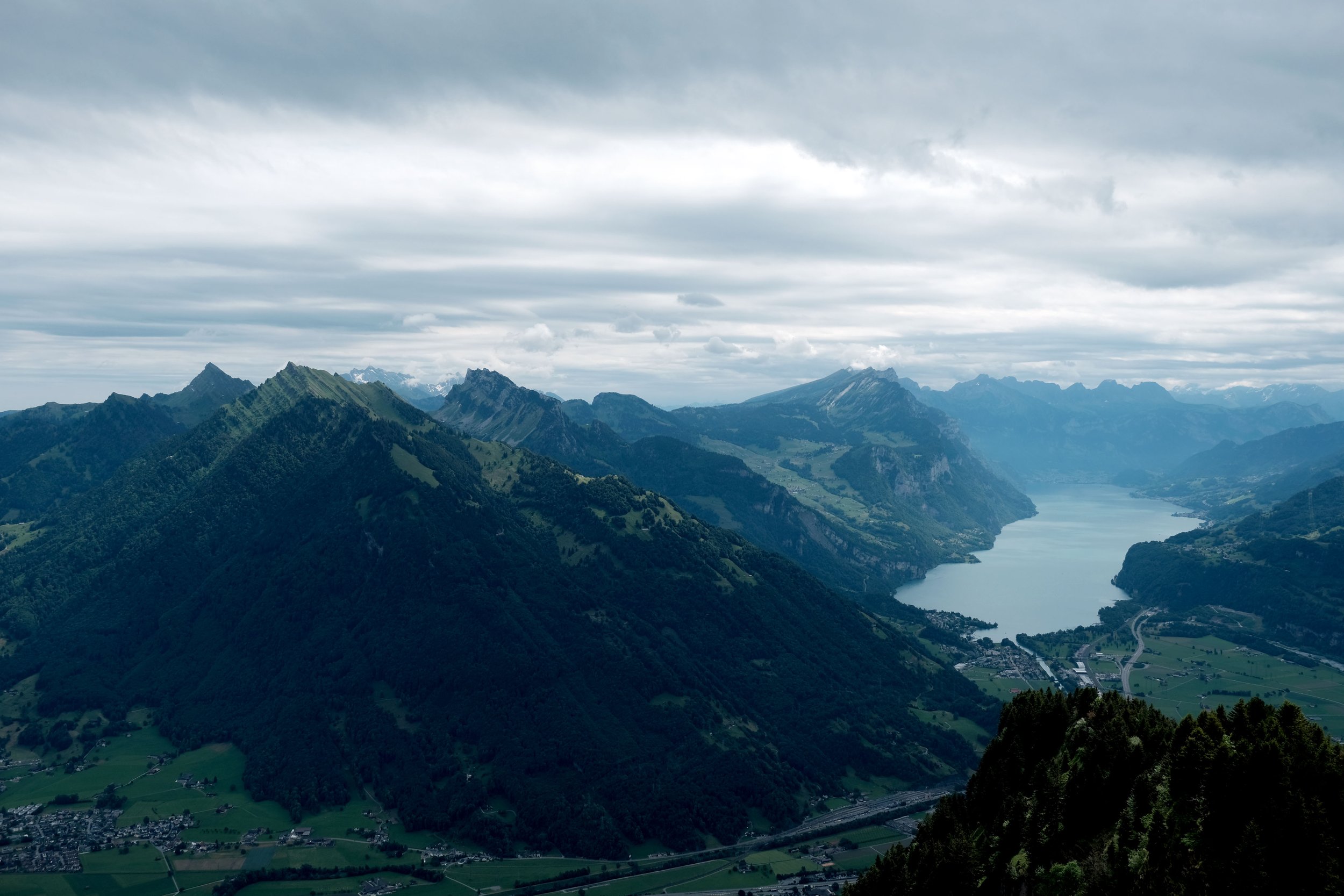 DSCF7449.JPG