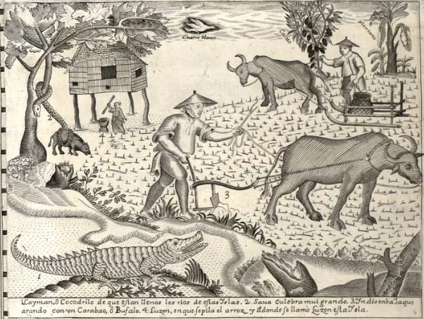 murillo-map2.jpg