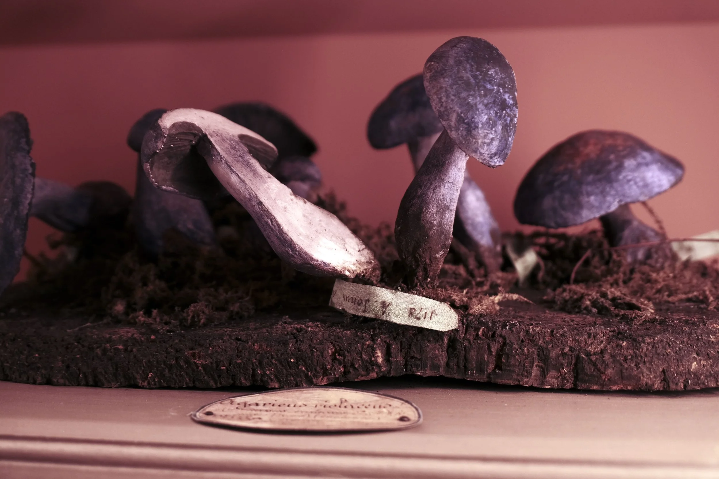 DSCF6913.JPG