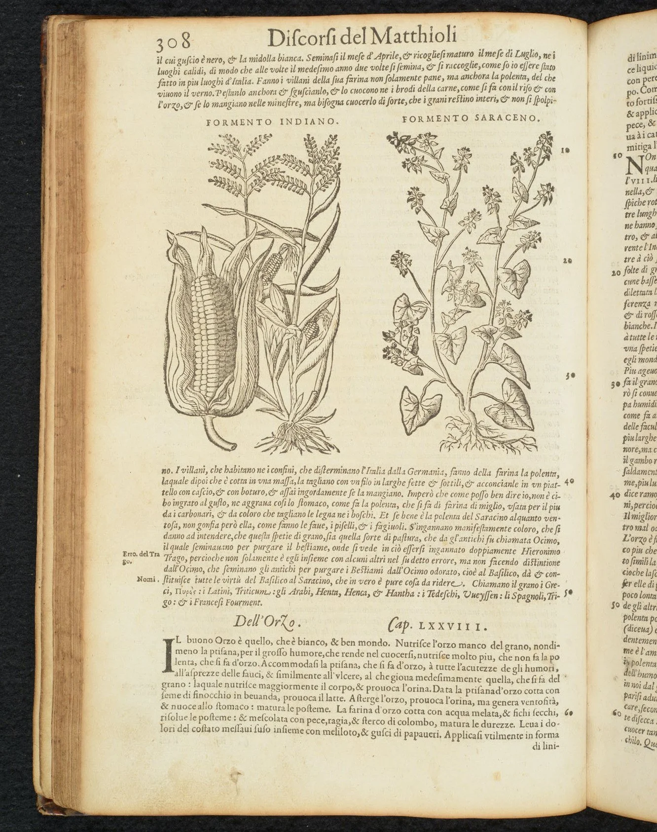 Image-5-two-herbals-Discorsi.jpg