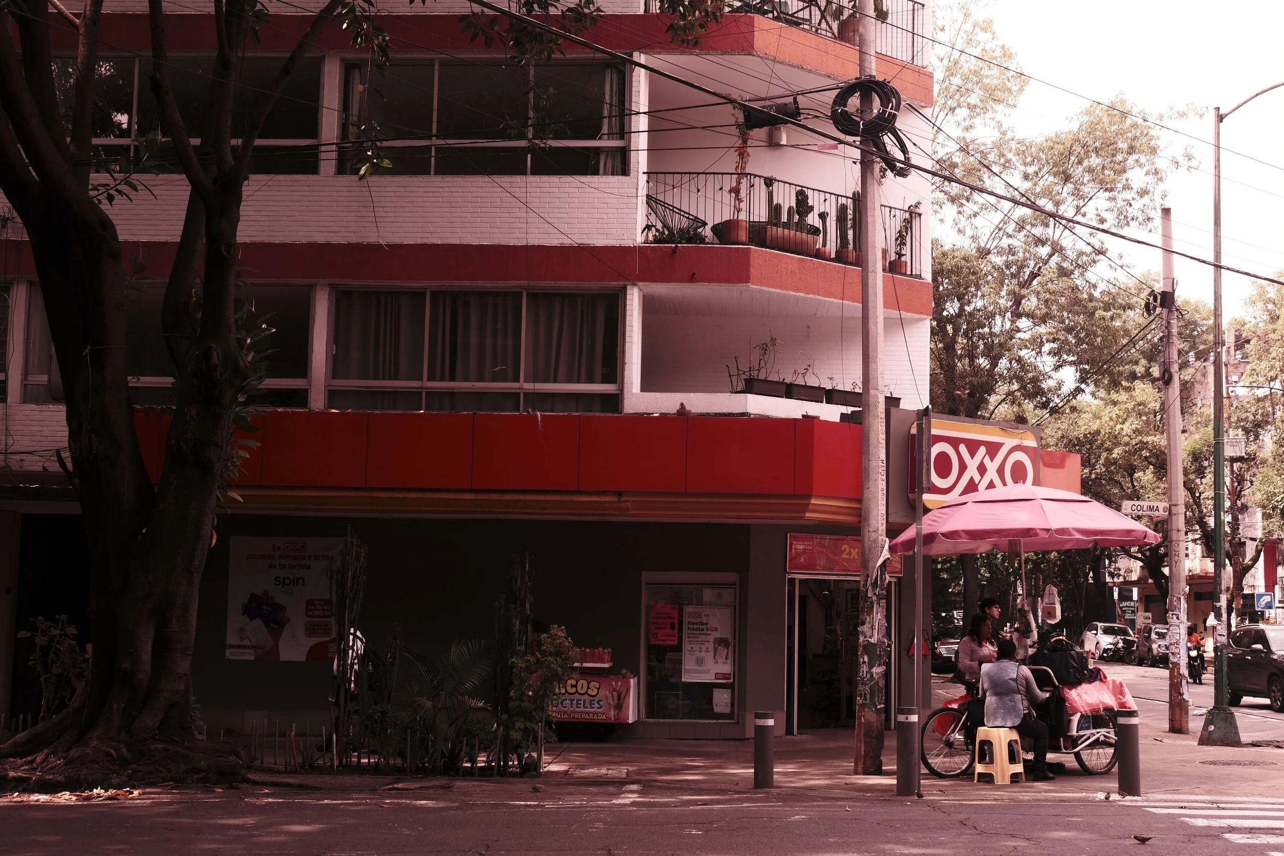 DSCF5534.JPG
